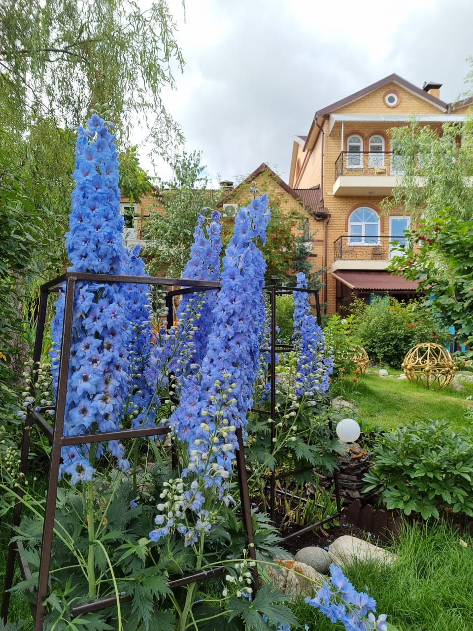 Фото Бегущая по волнам