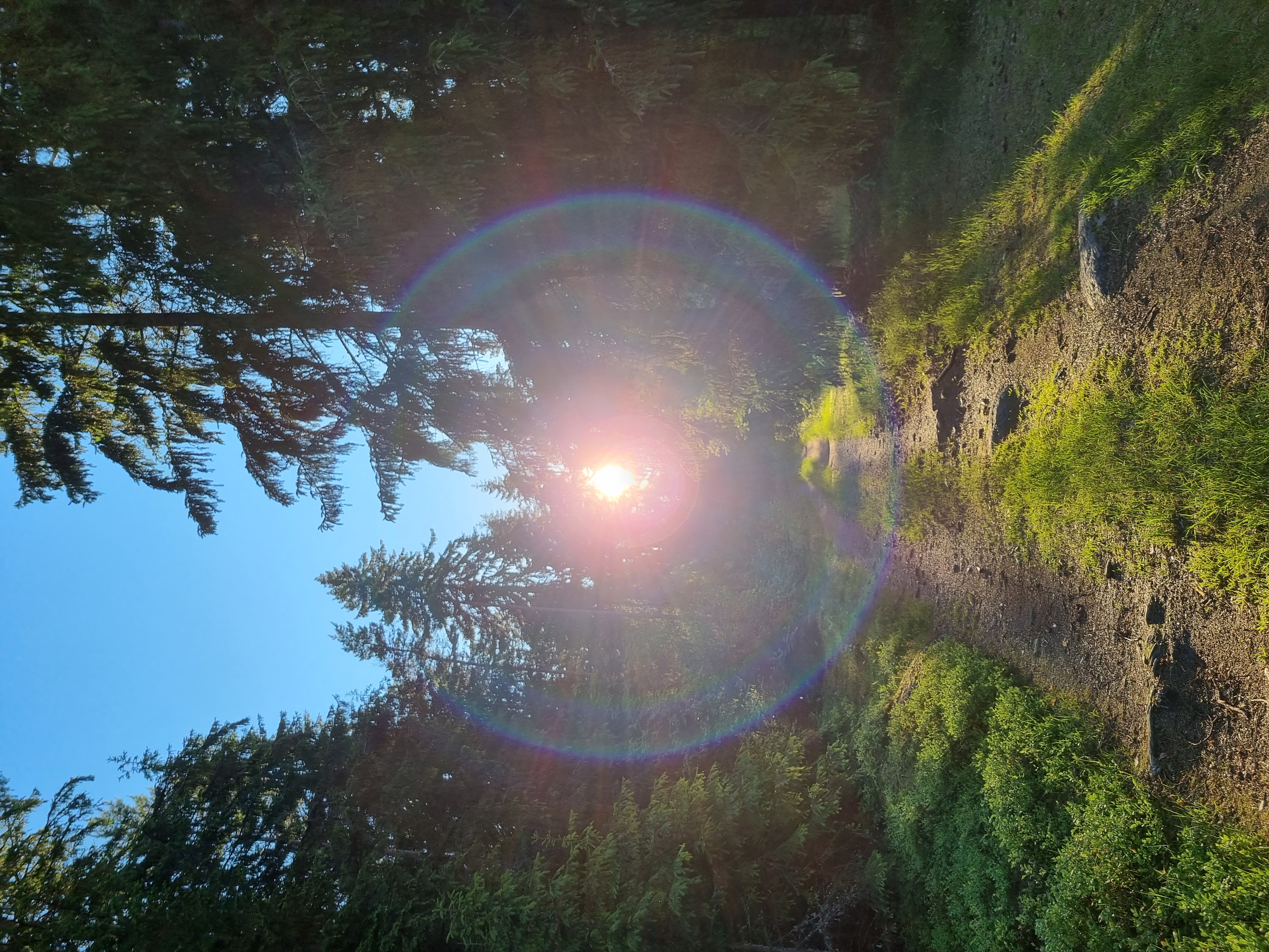 Фото Заречье