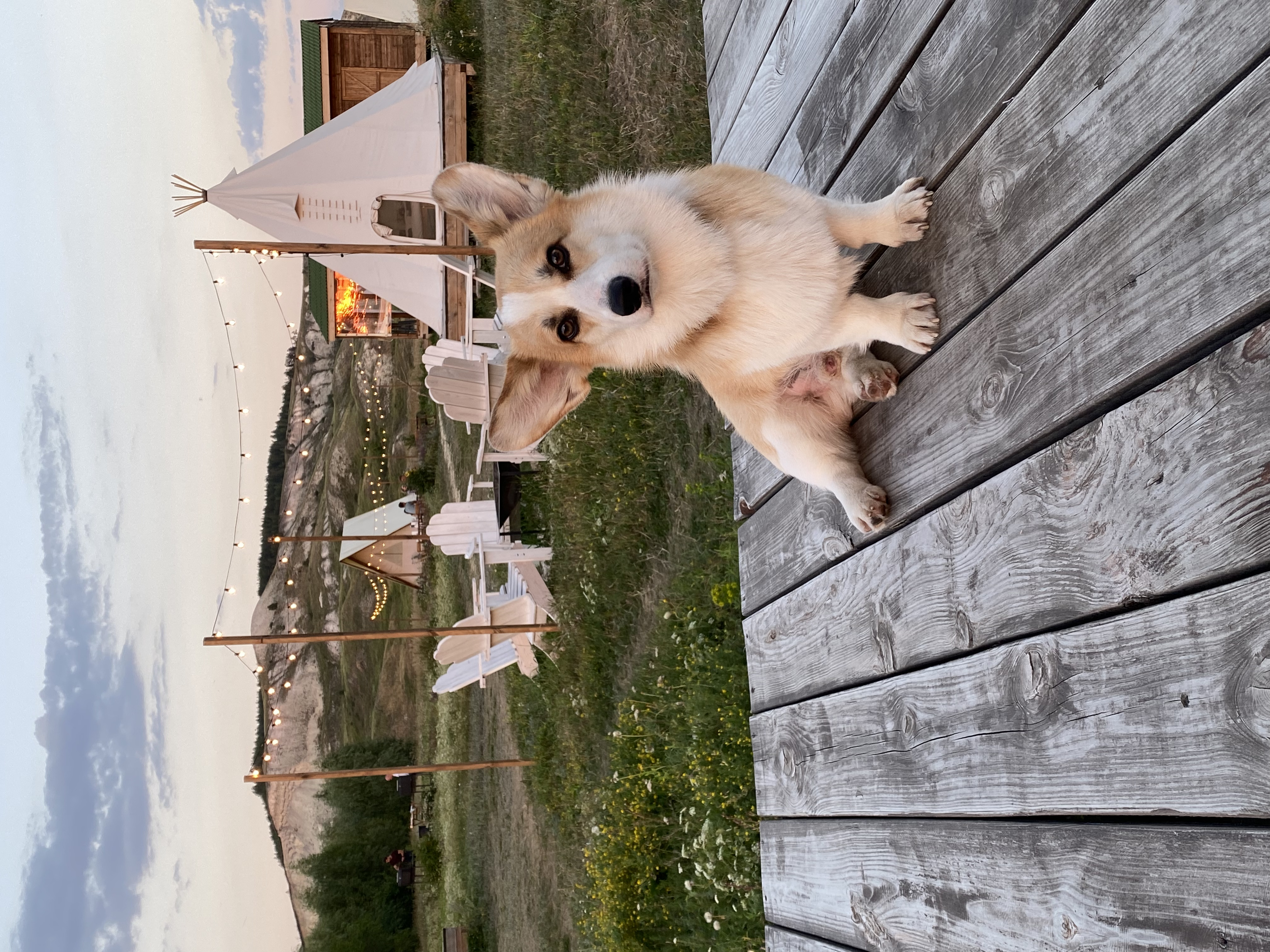 Фото Альфа Глэмпинг