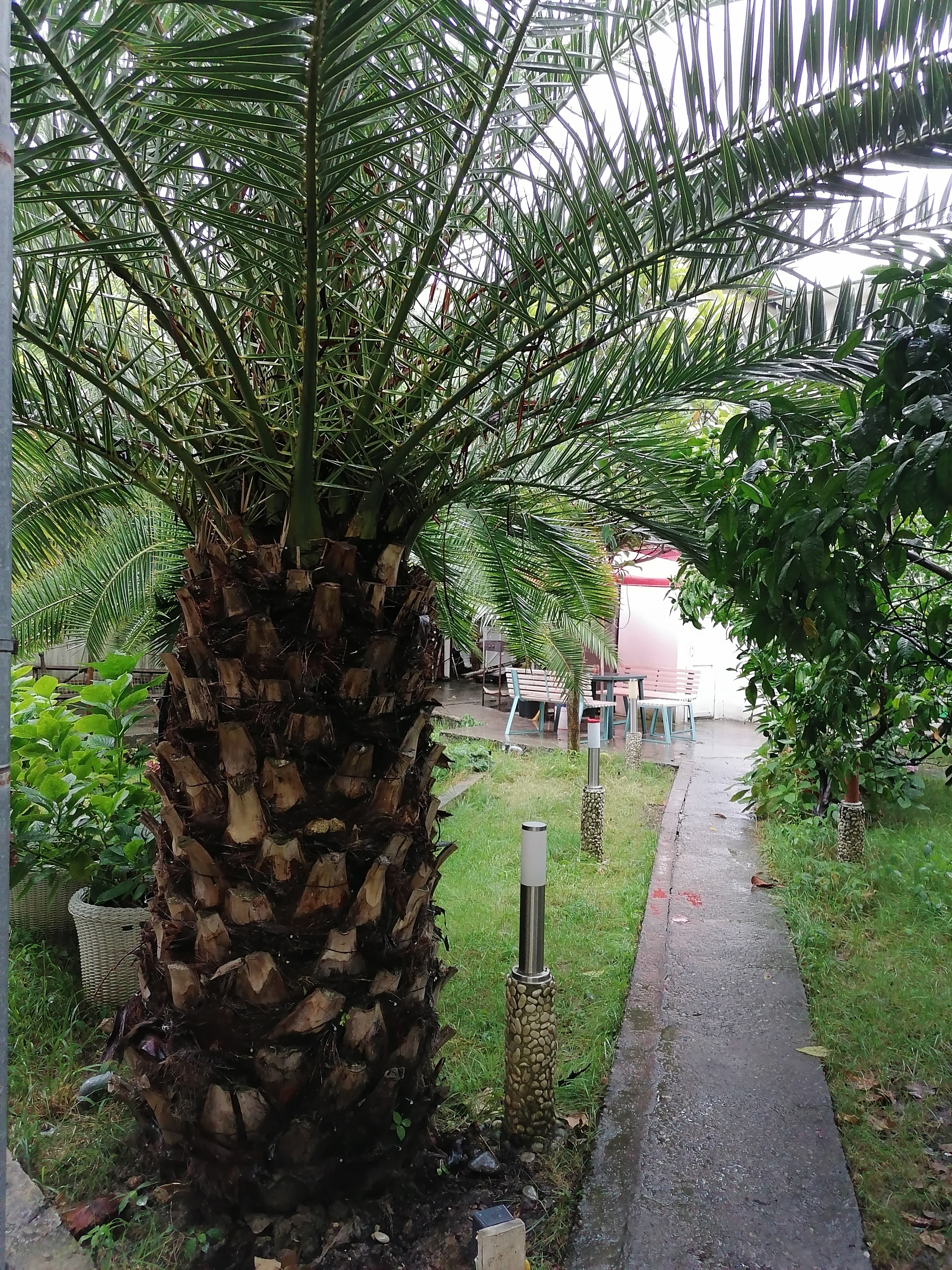 Фото Гостевой дом Фиеста