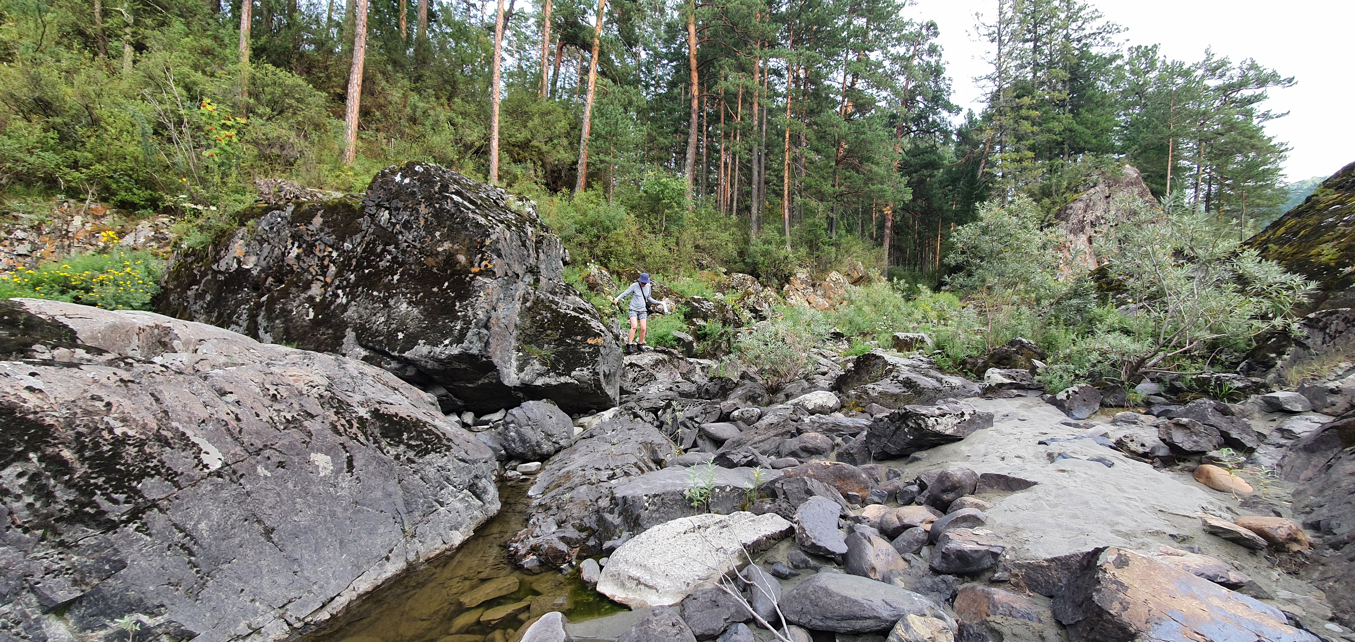 Фото Кедровый остров