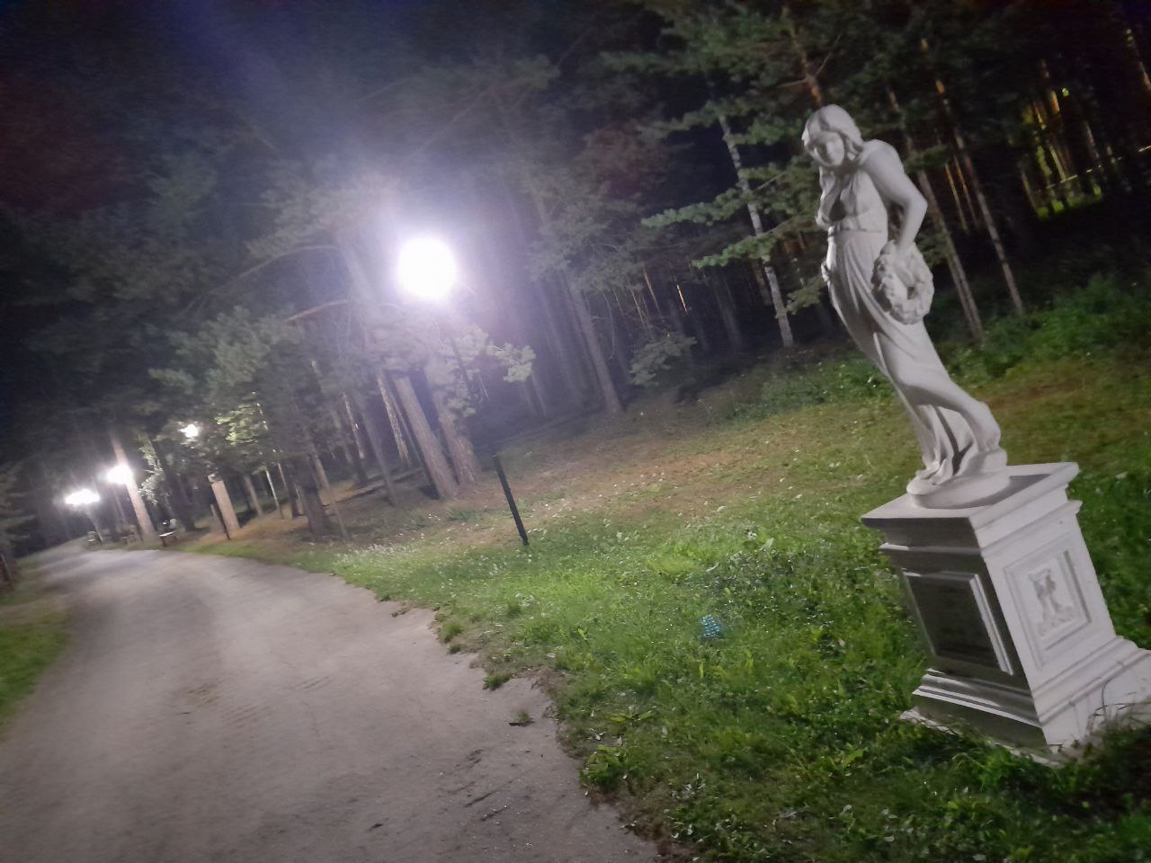 Фото Иволга