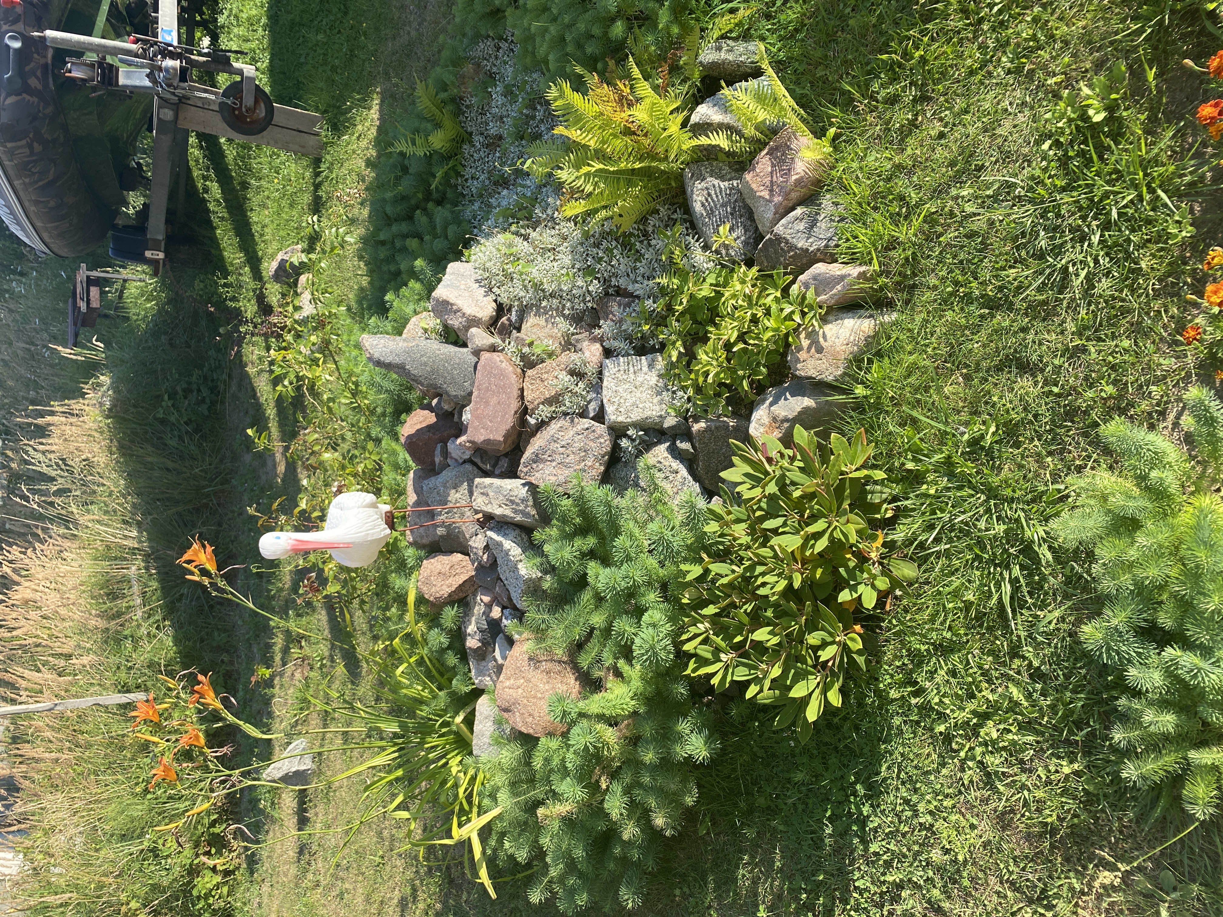 Фото Меблированные комнаты