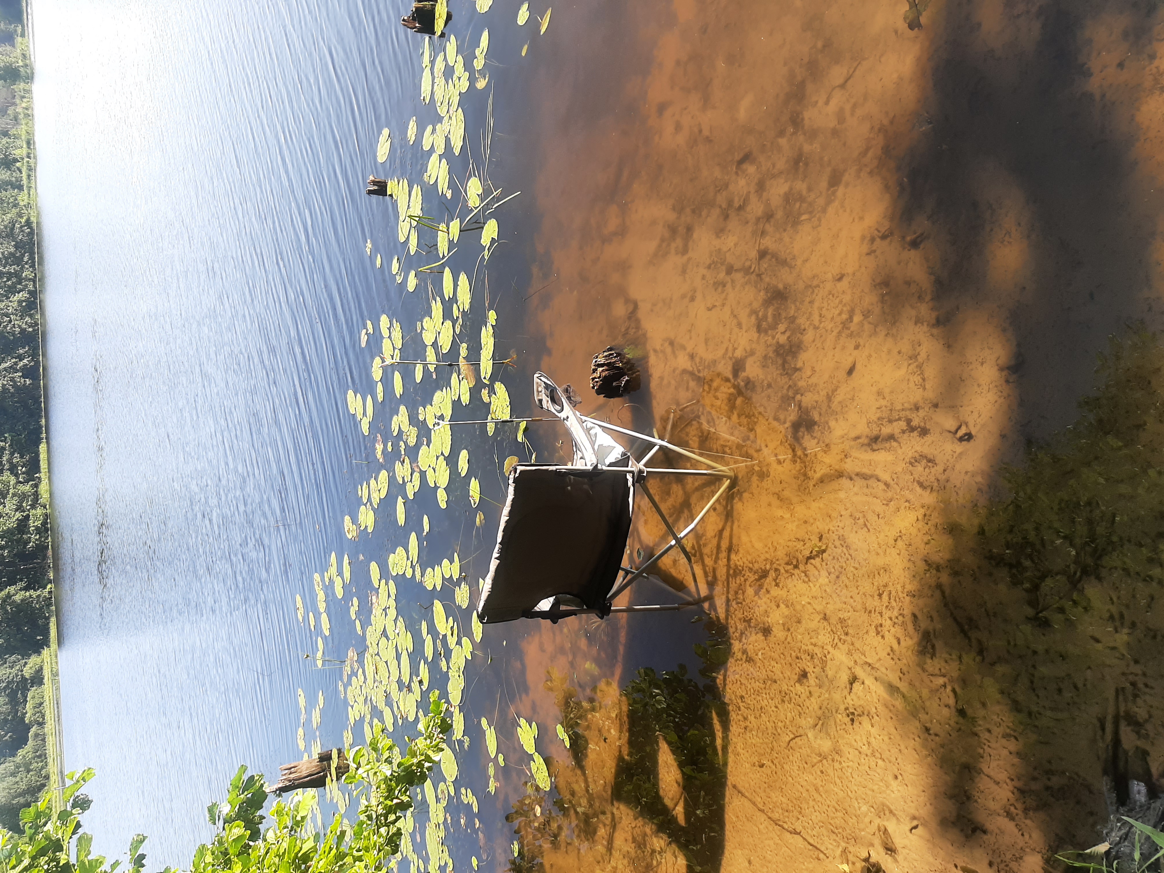 Фото Щукино