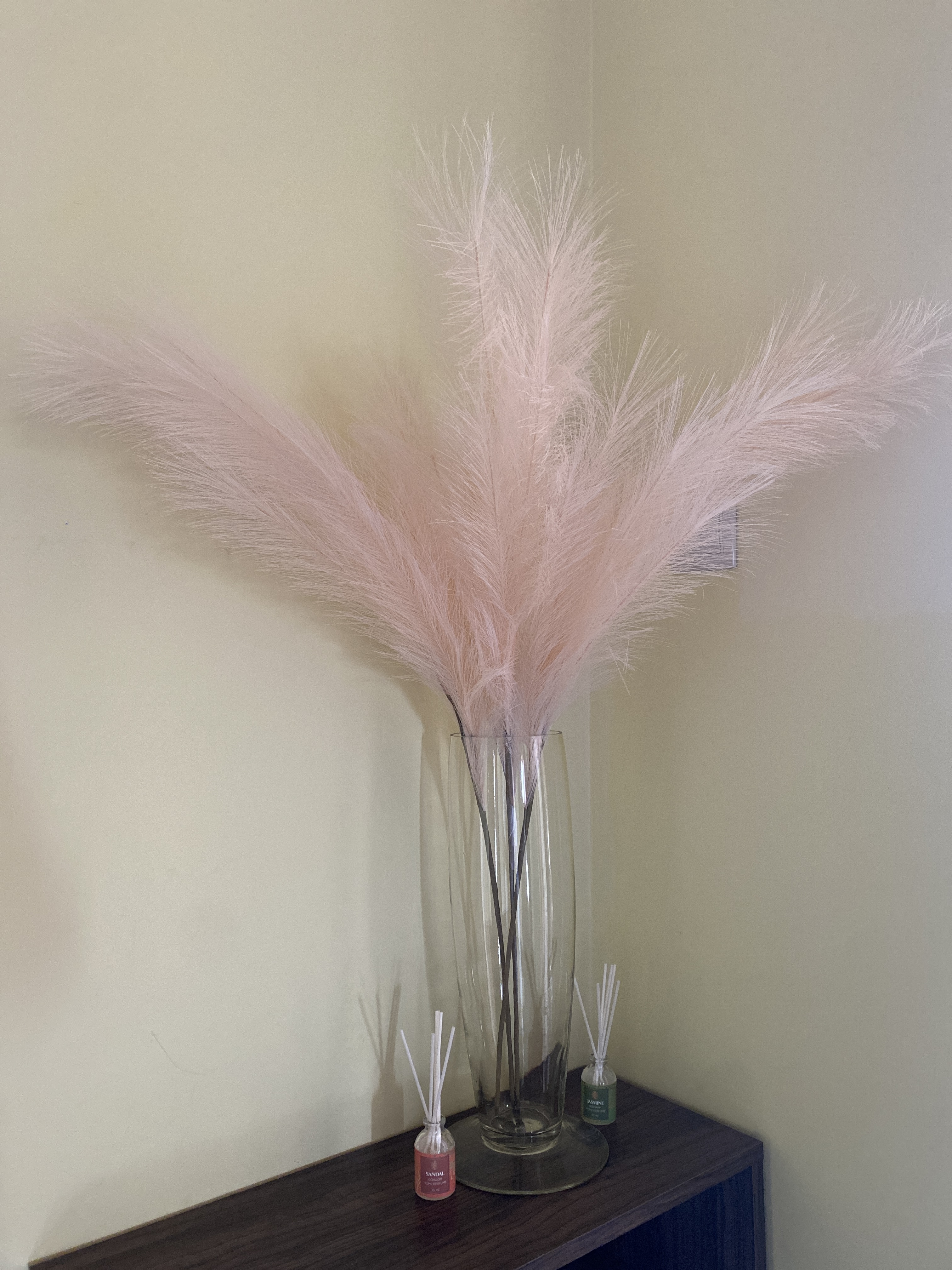 Фото Бархат