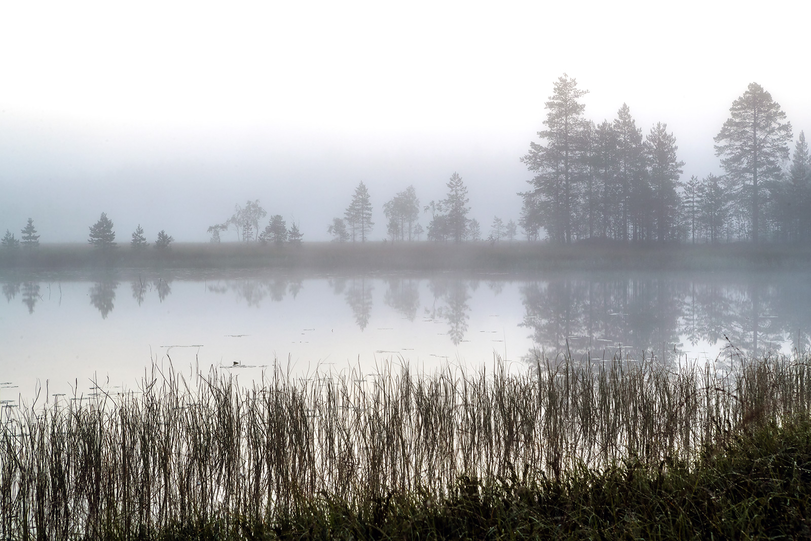 Фото Экотурсервис