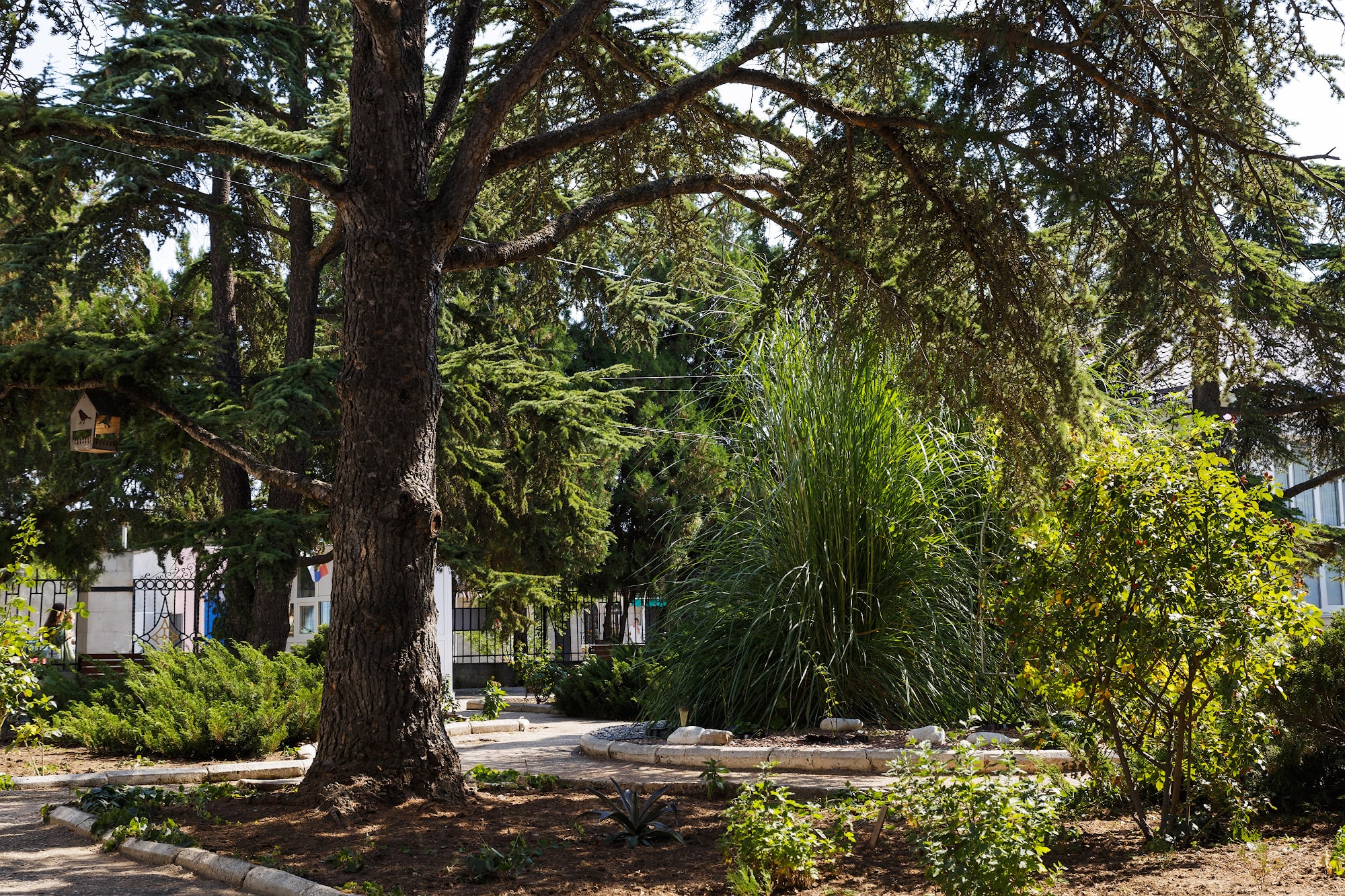 Фото Прибой