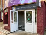 Flos (Krasnoyarsk Urban District, Oktyabrskiy City Administrative District, Akademgorodok Street, 18Д) ، محل زهور