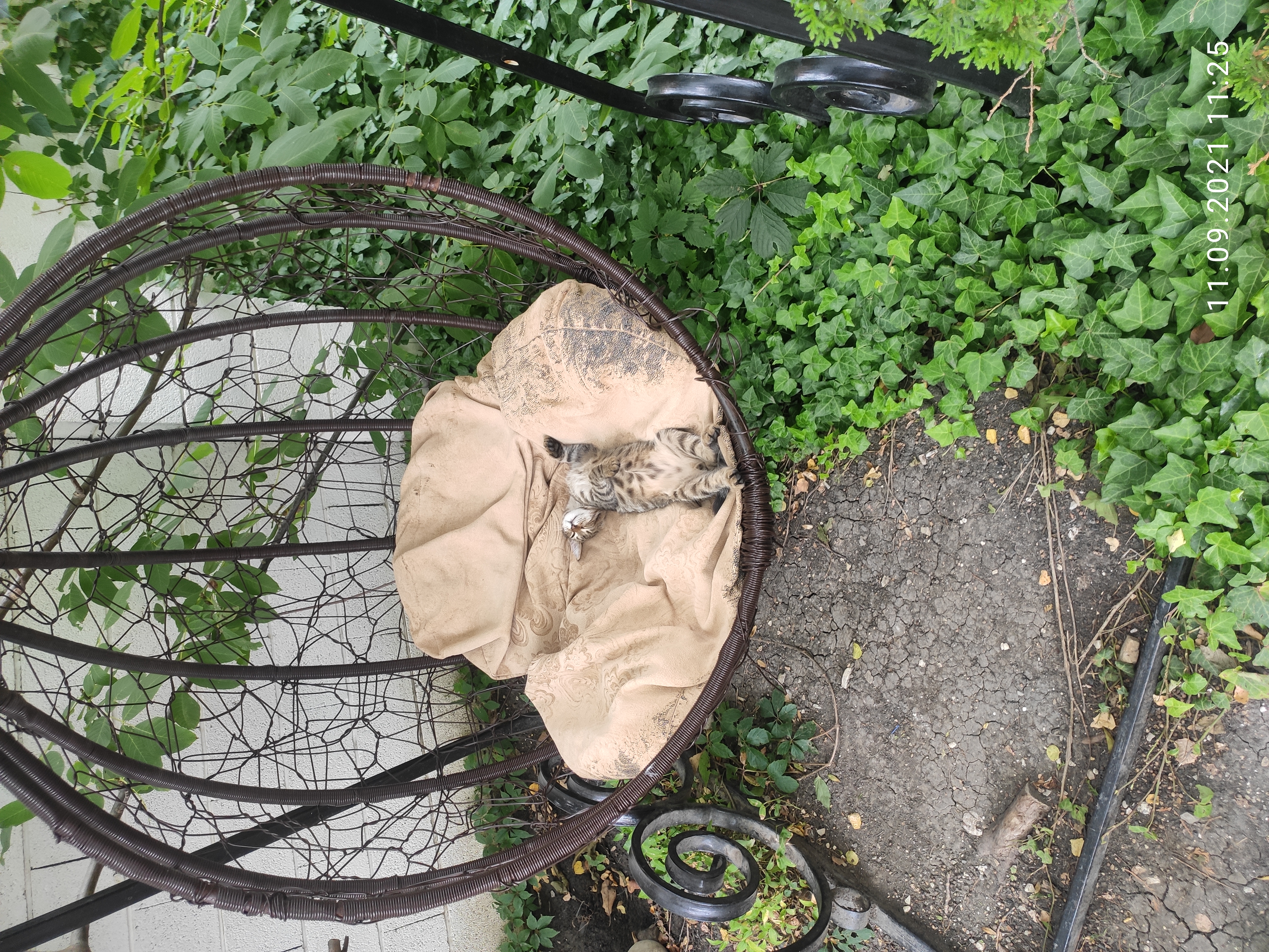 Фото Дольче Вита