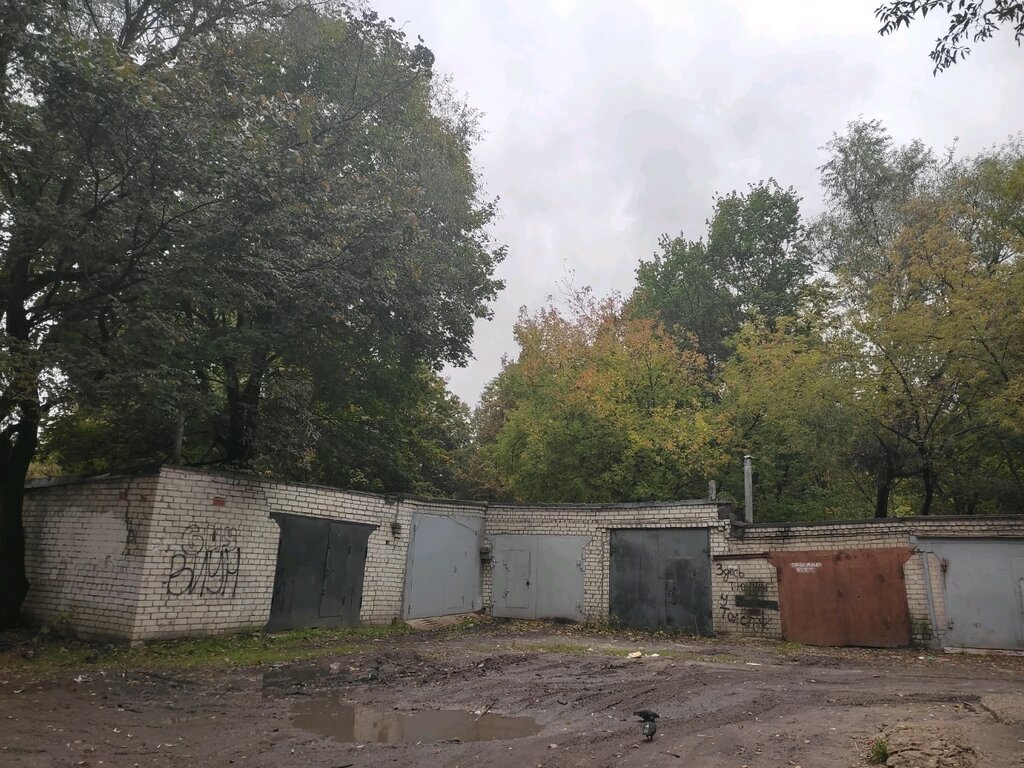 Garage cooperative ГК Лесные сараи, Bryansk, photo