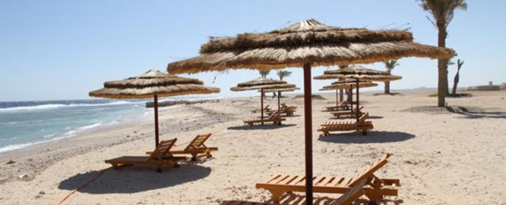 Фото BeachSafari Resort