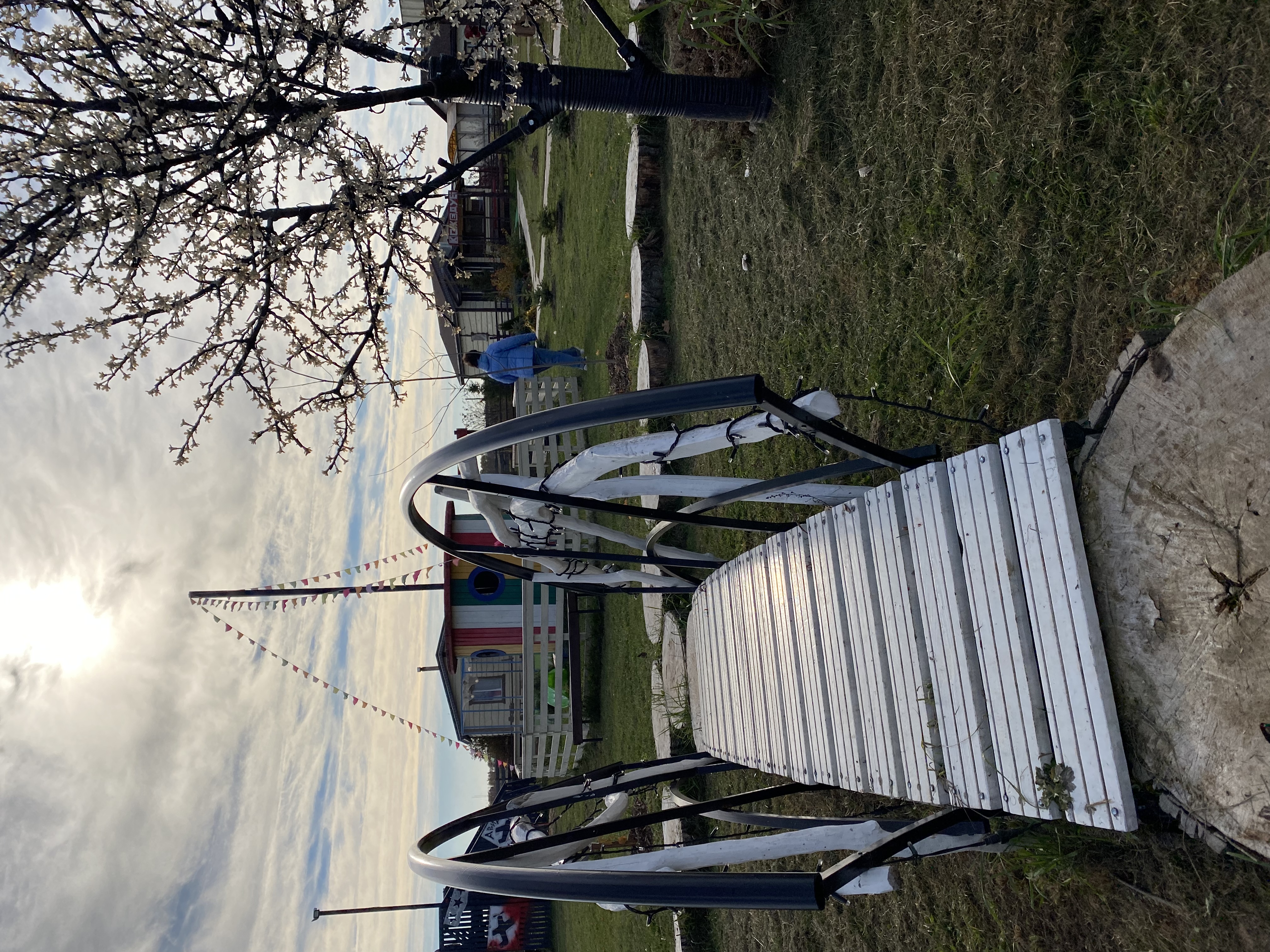 Фото Авиатор