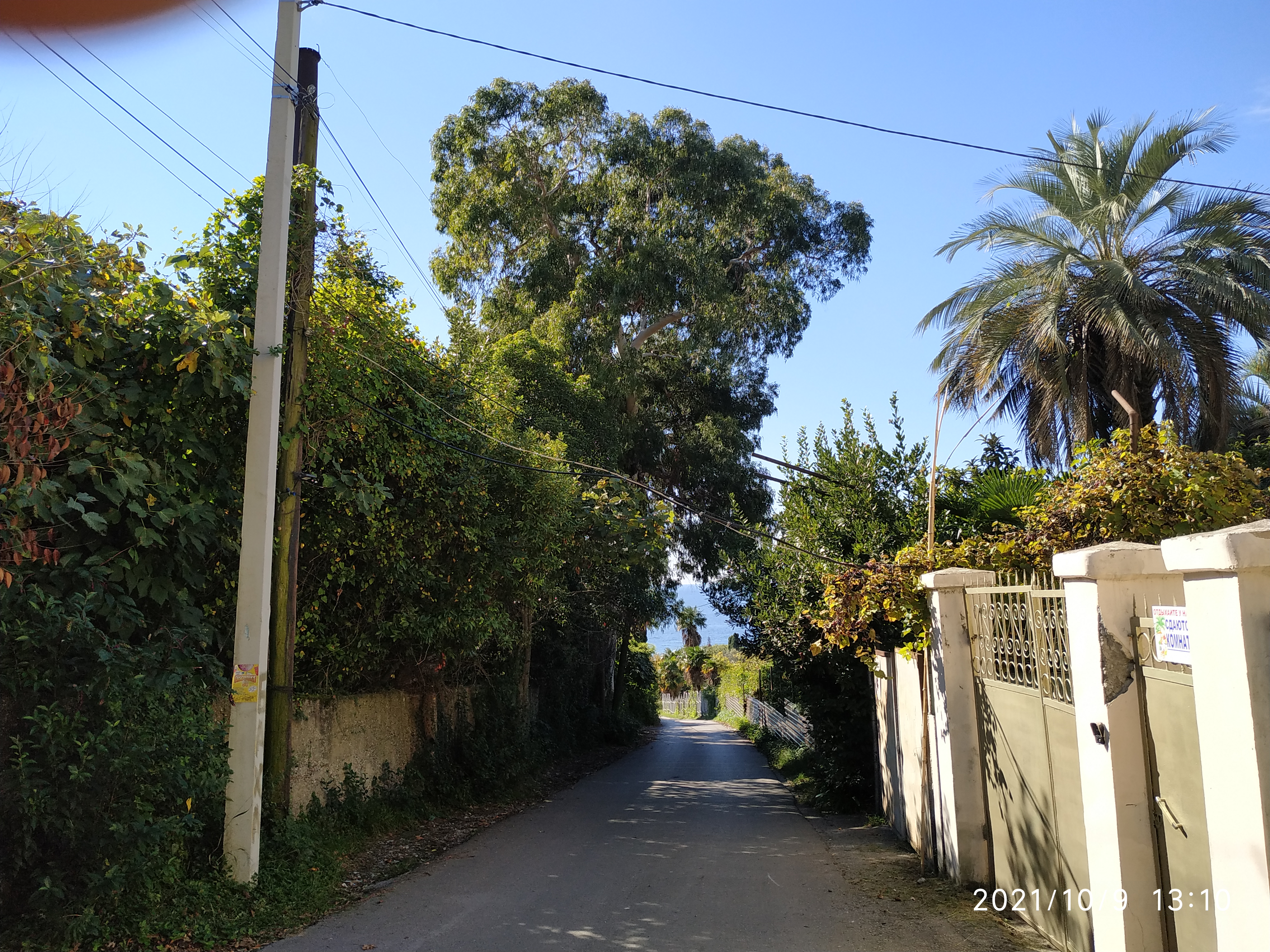 Фото Бестужеский дворик