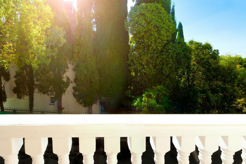 Фото Медуза