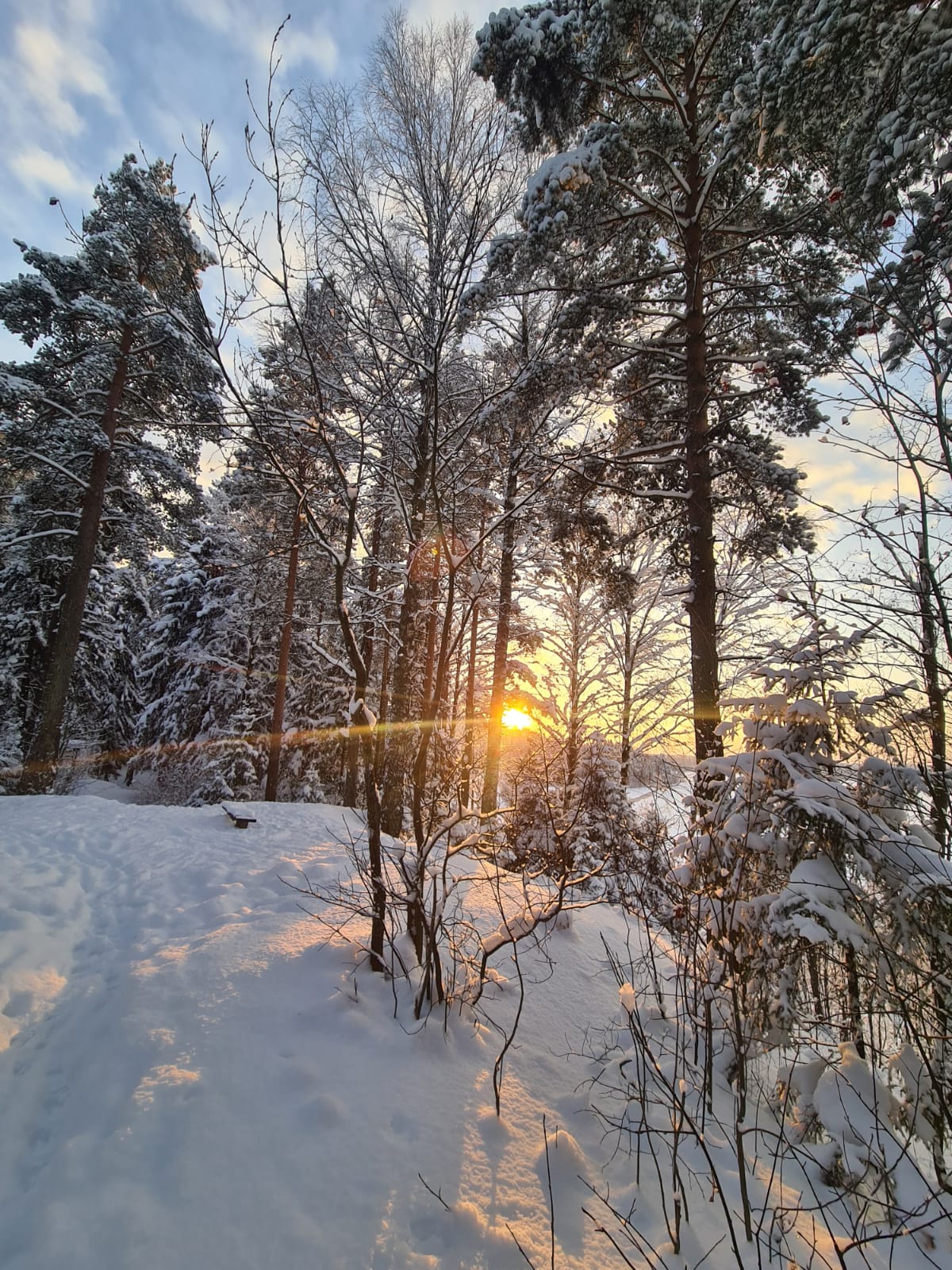 Фото Динамо