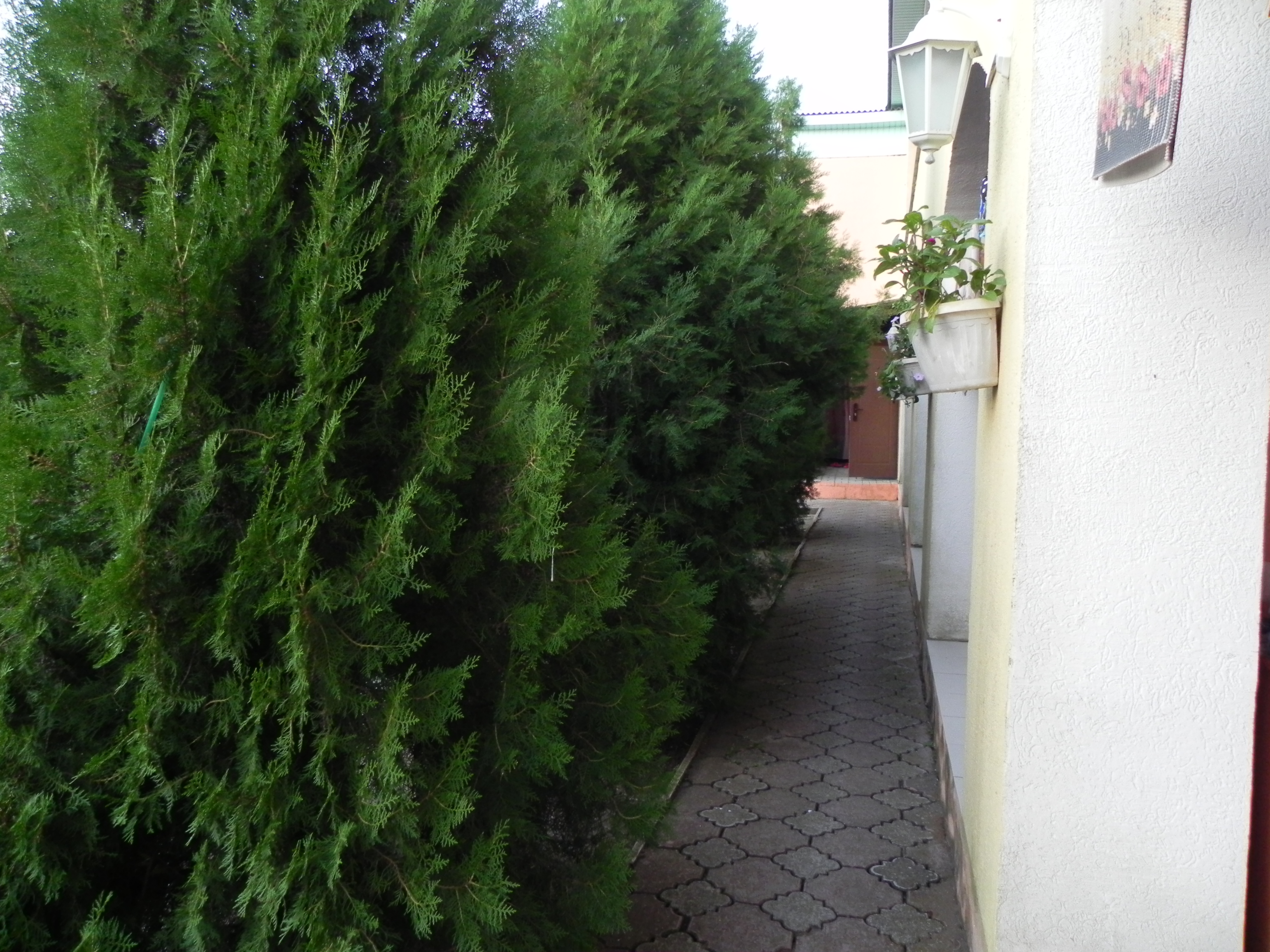 Фото Фанни Вероника