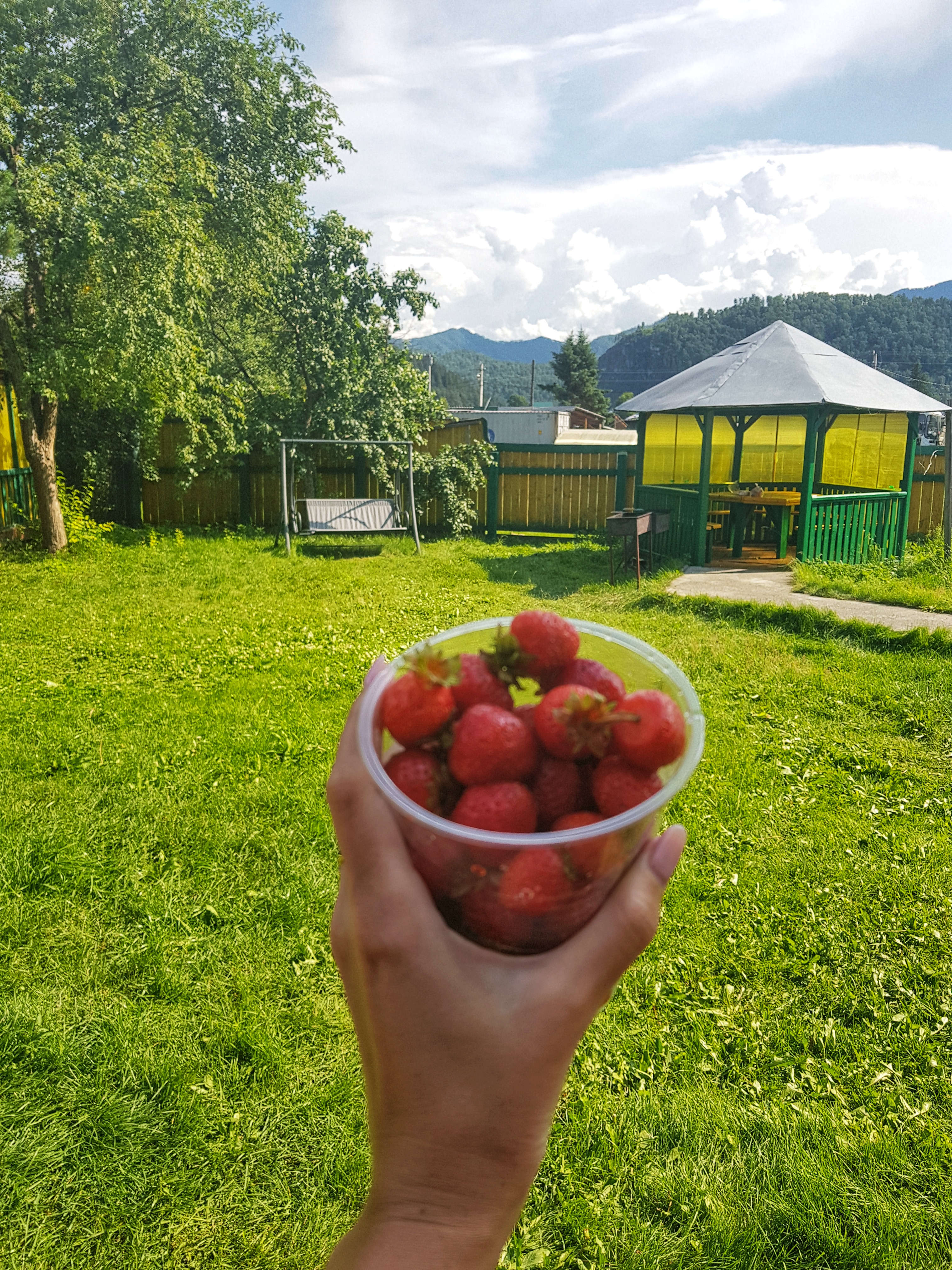 Фото Алтай-Вояж