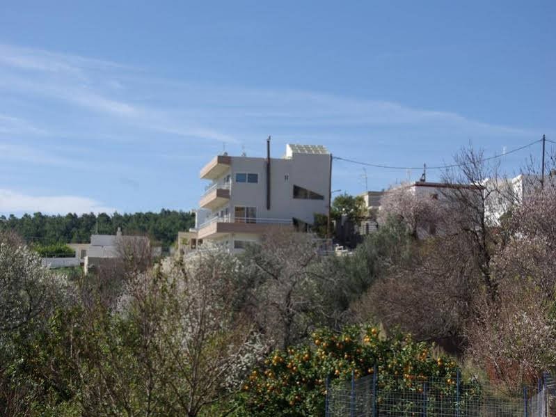 Фото Thomas Hotel