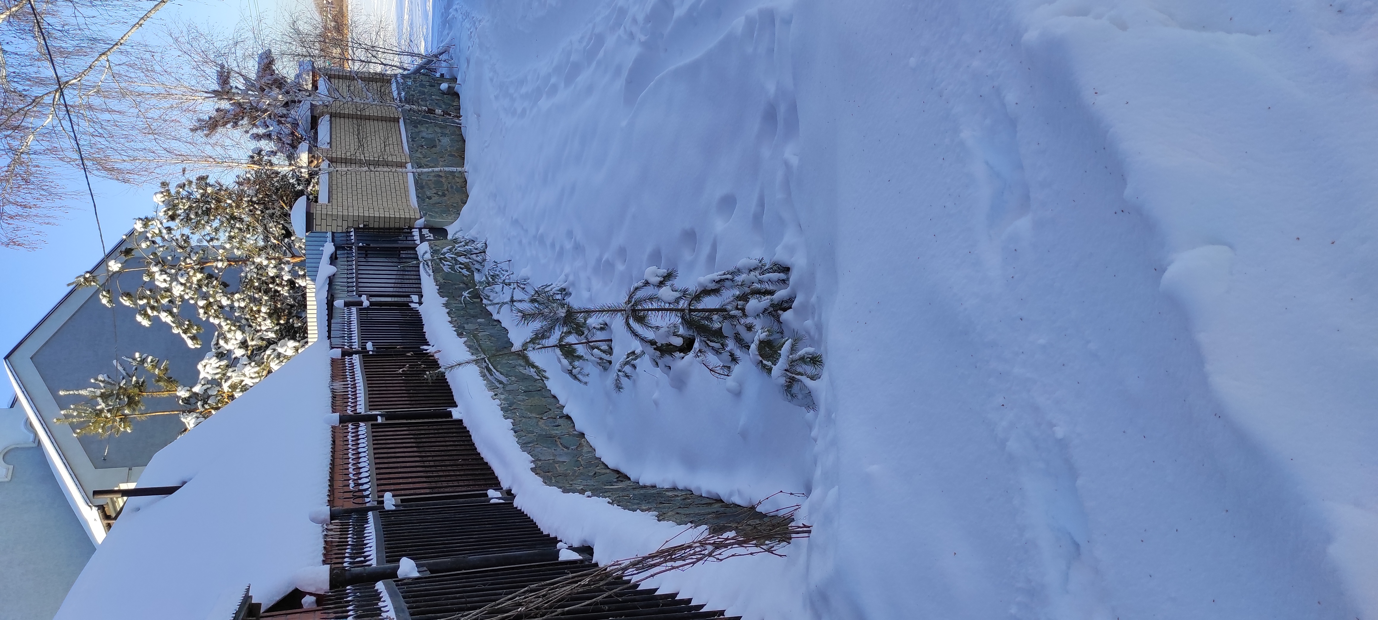 Фото Мичуринский