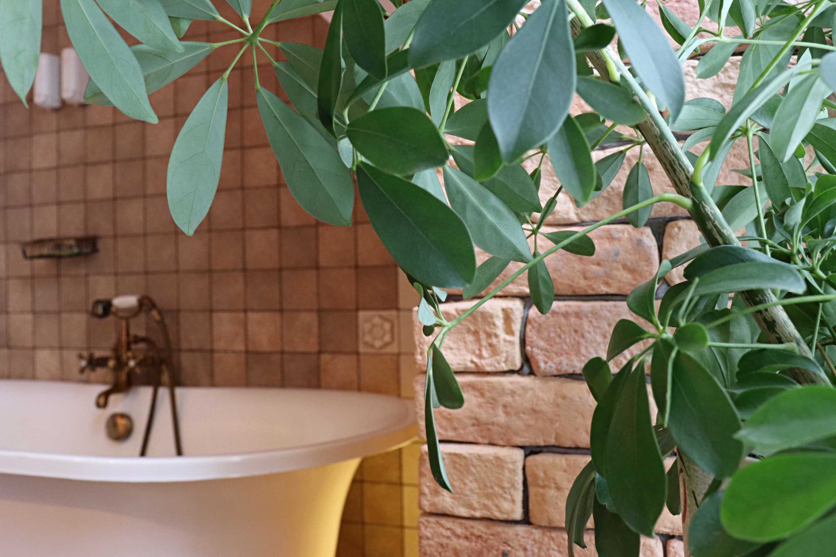 Фото Гостевой дом Шлиссельбургъ