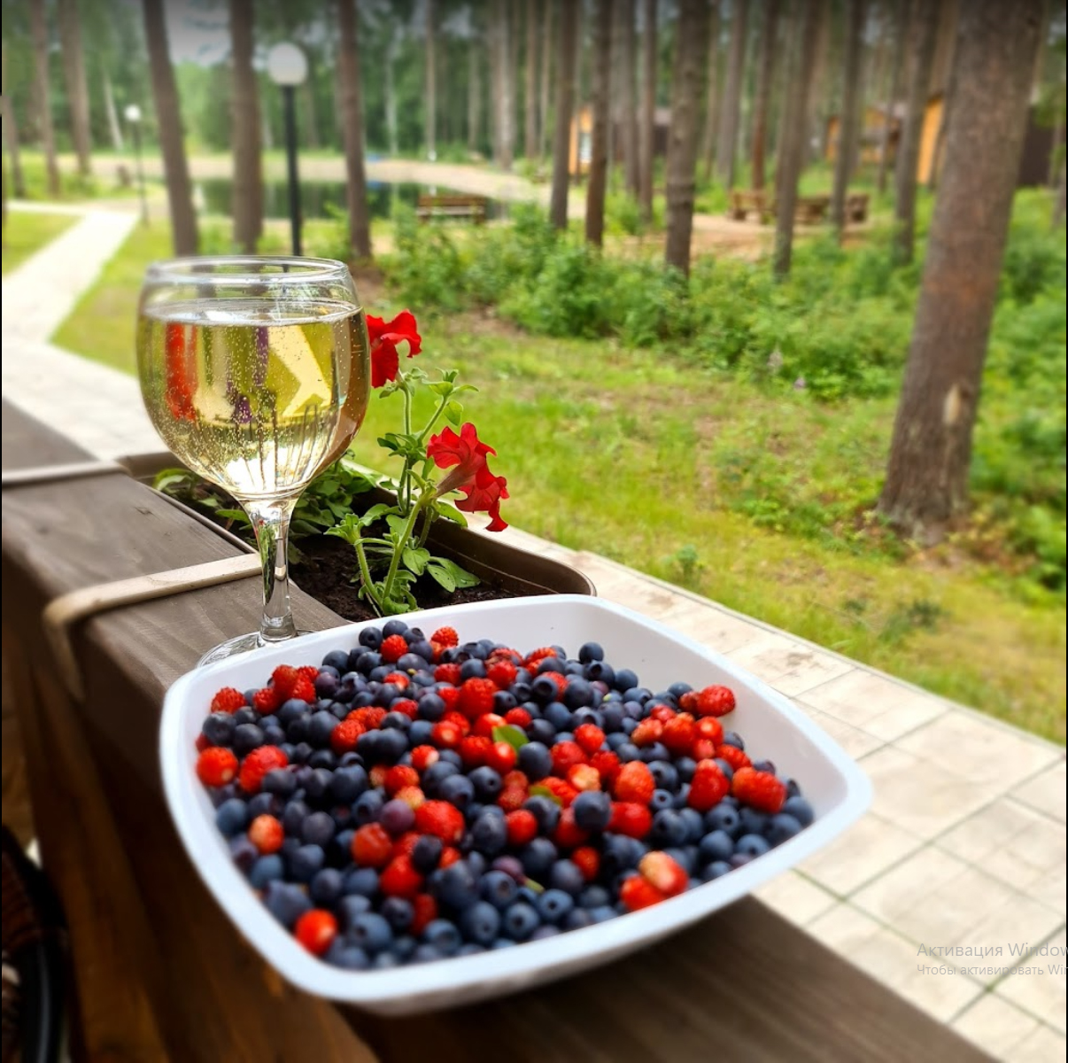 Фото Sherwood Park Hotel