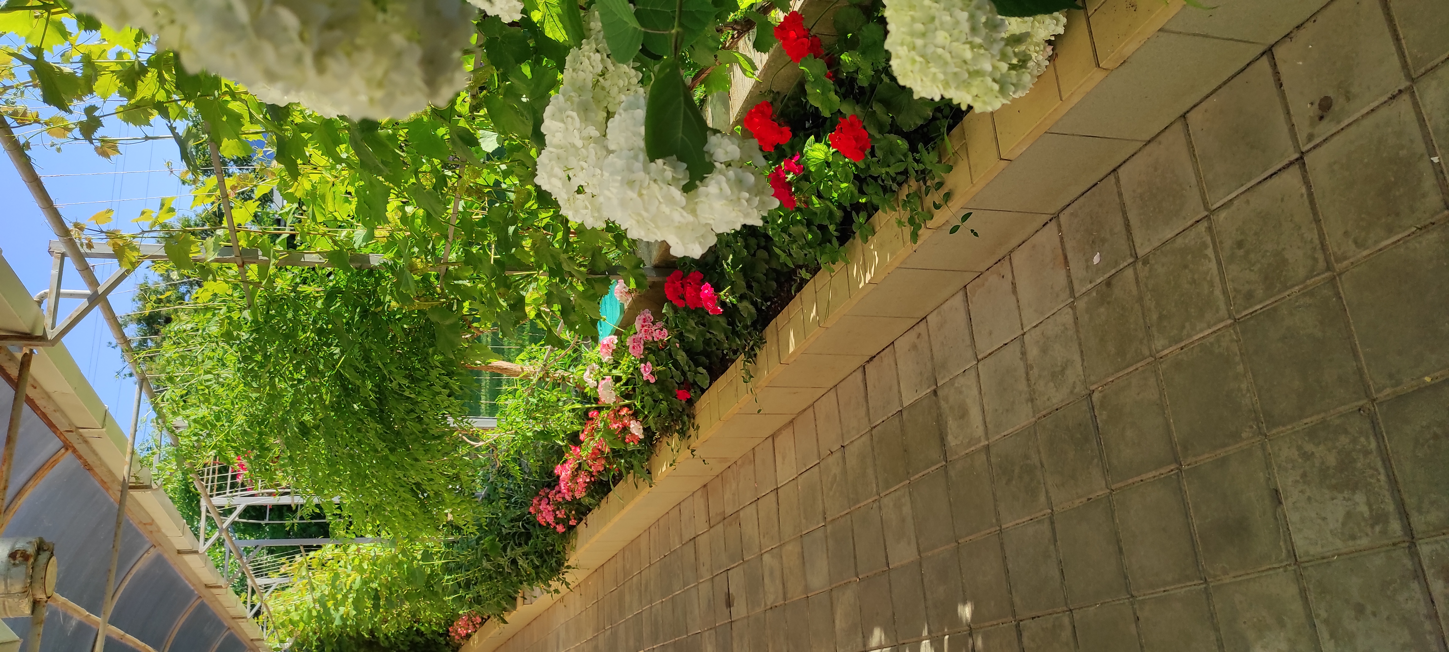 Фото Морское Небо