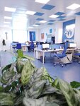 Intrum (Moskovskoye Highway, 43), it company
