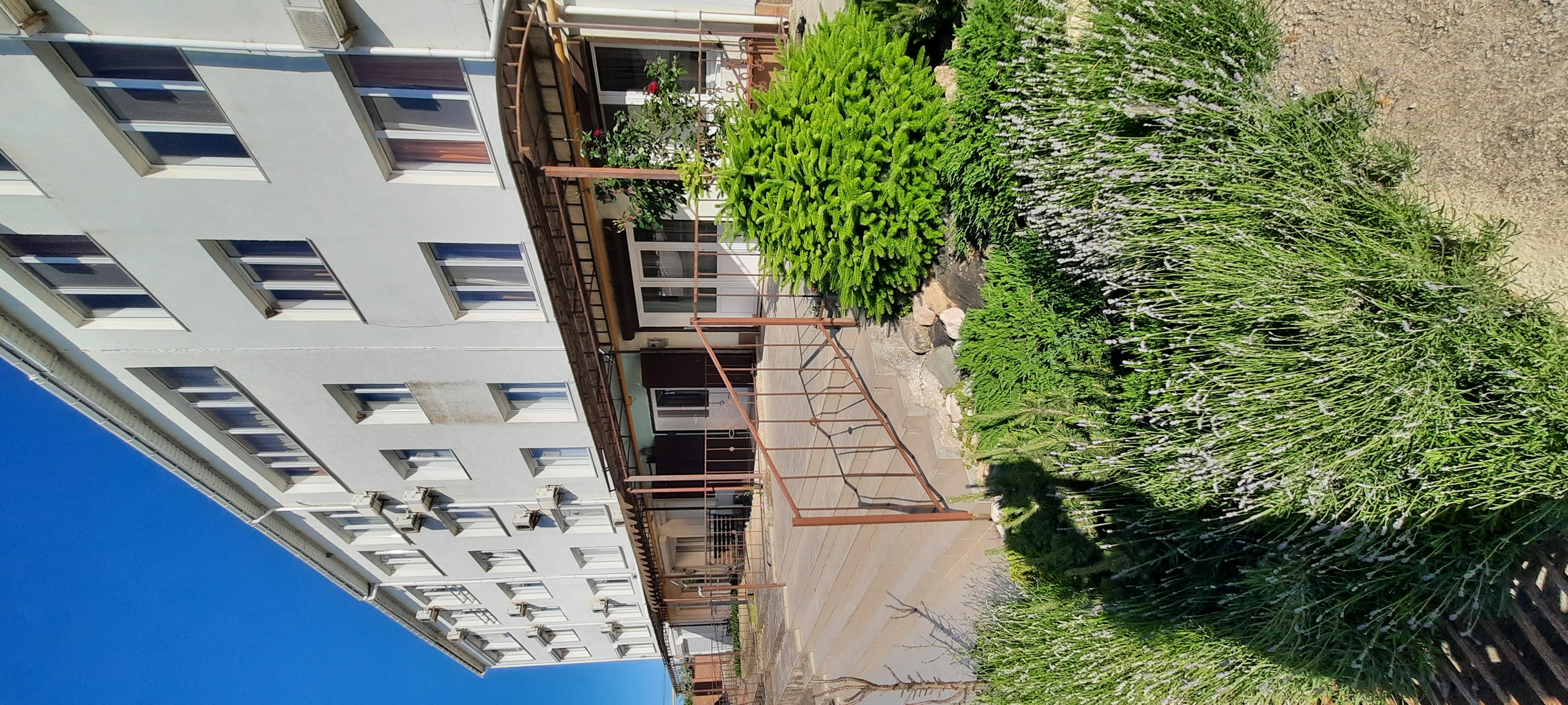 Фото Пять Ракушек