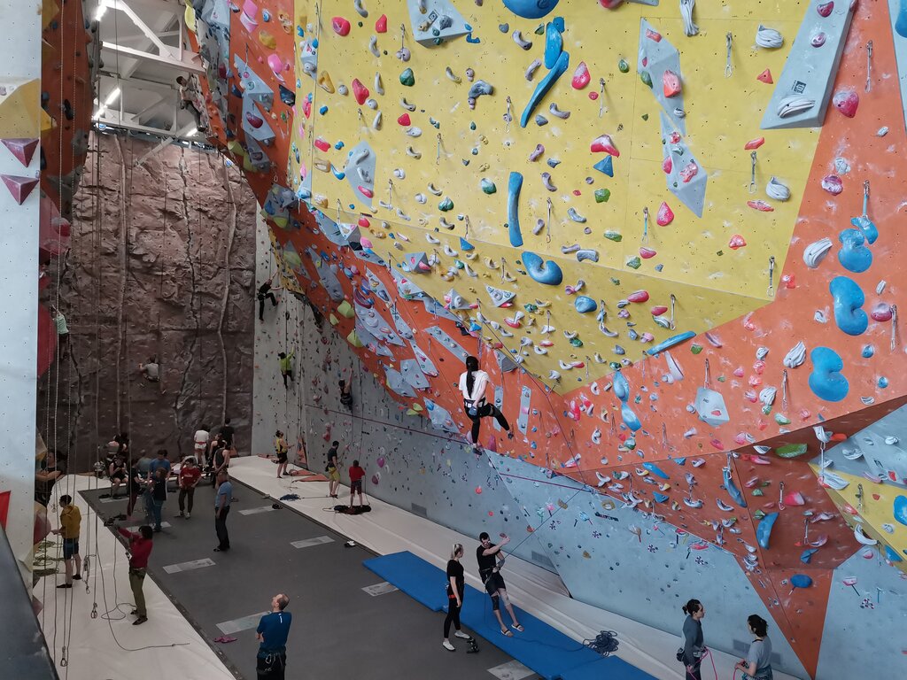 BIGWALL Р›СѓР¶РЅРёРєРё