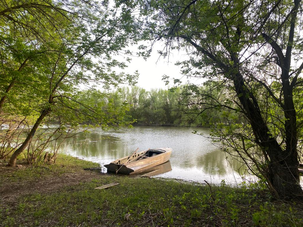 Фото Домик в Лотосах