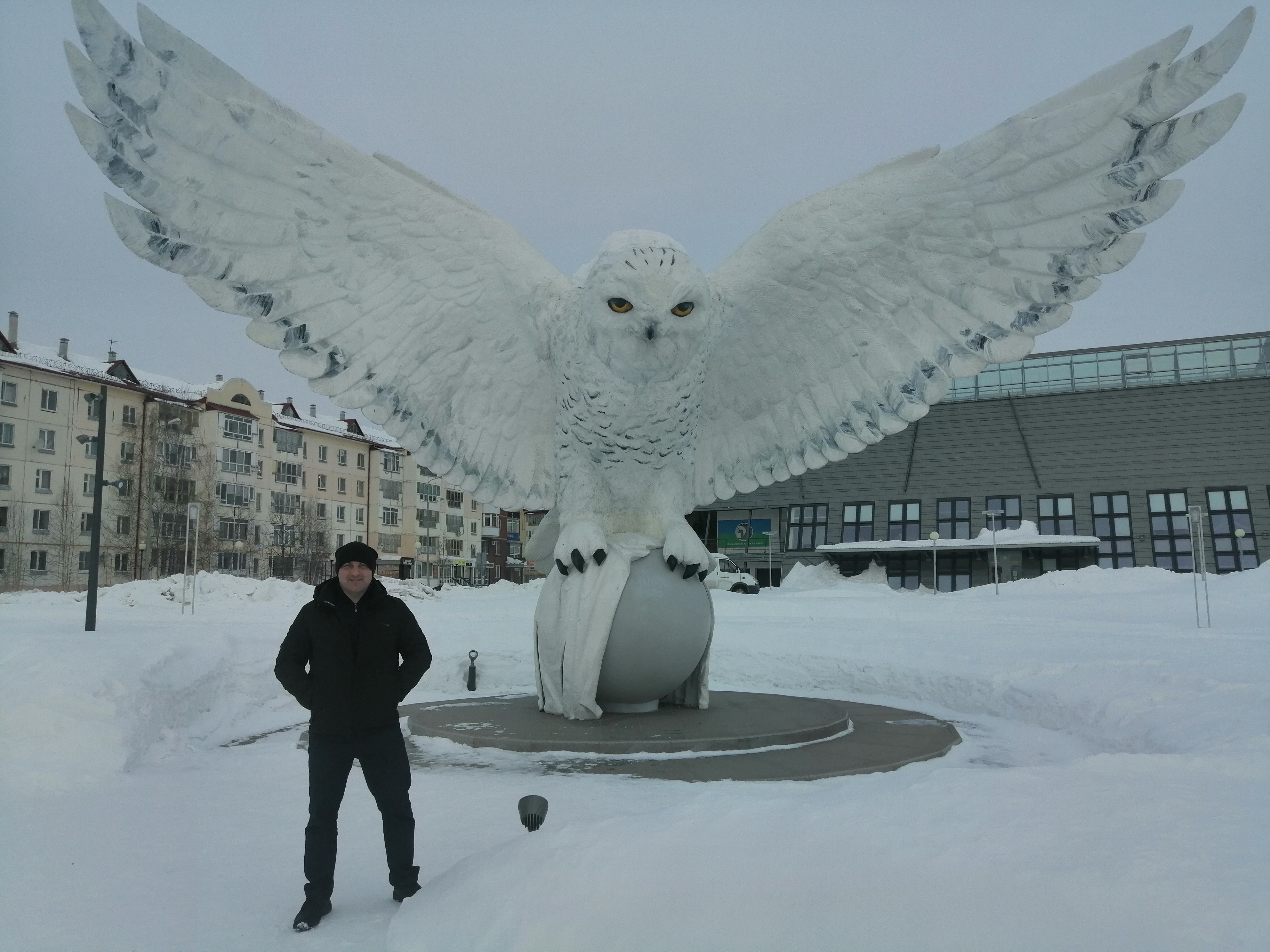 Фото Карибу