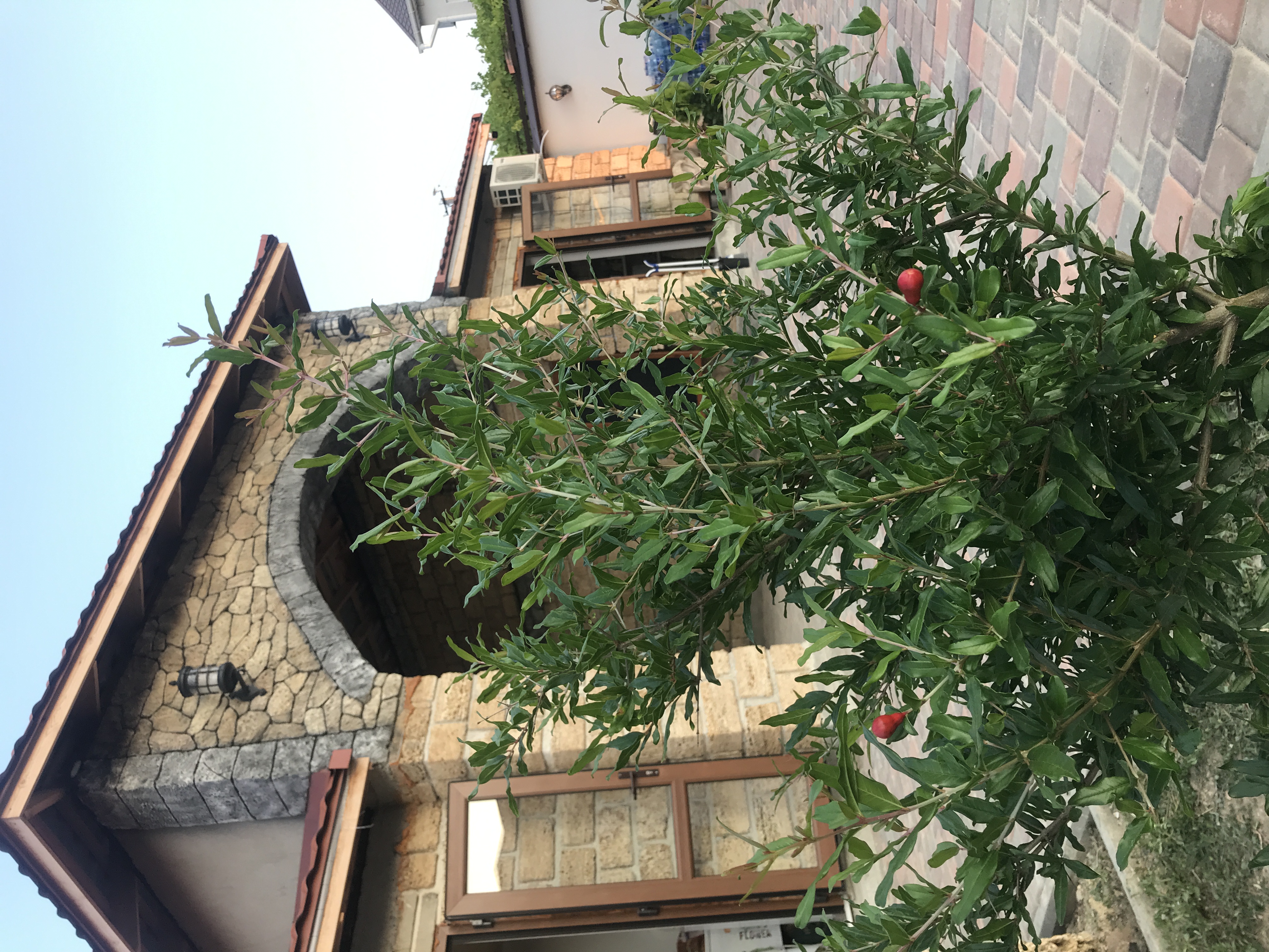 Фото Маалле