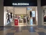 Calzedonia (Sharlykskoye shosse, 1/2), stockings and tights shop
