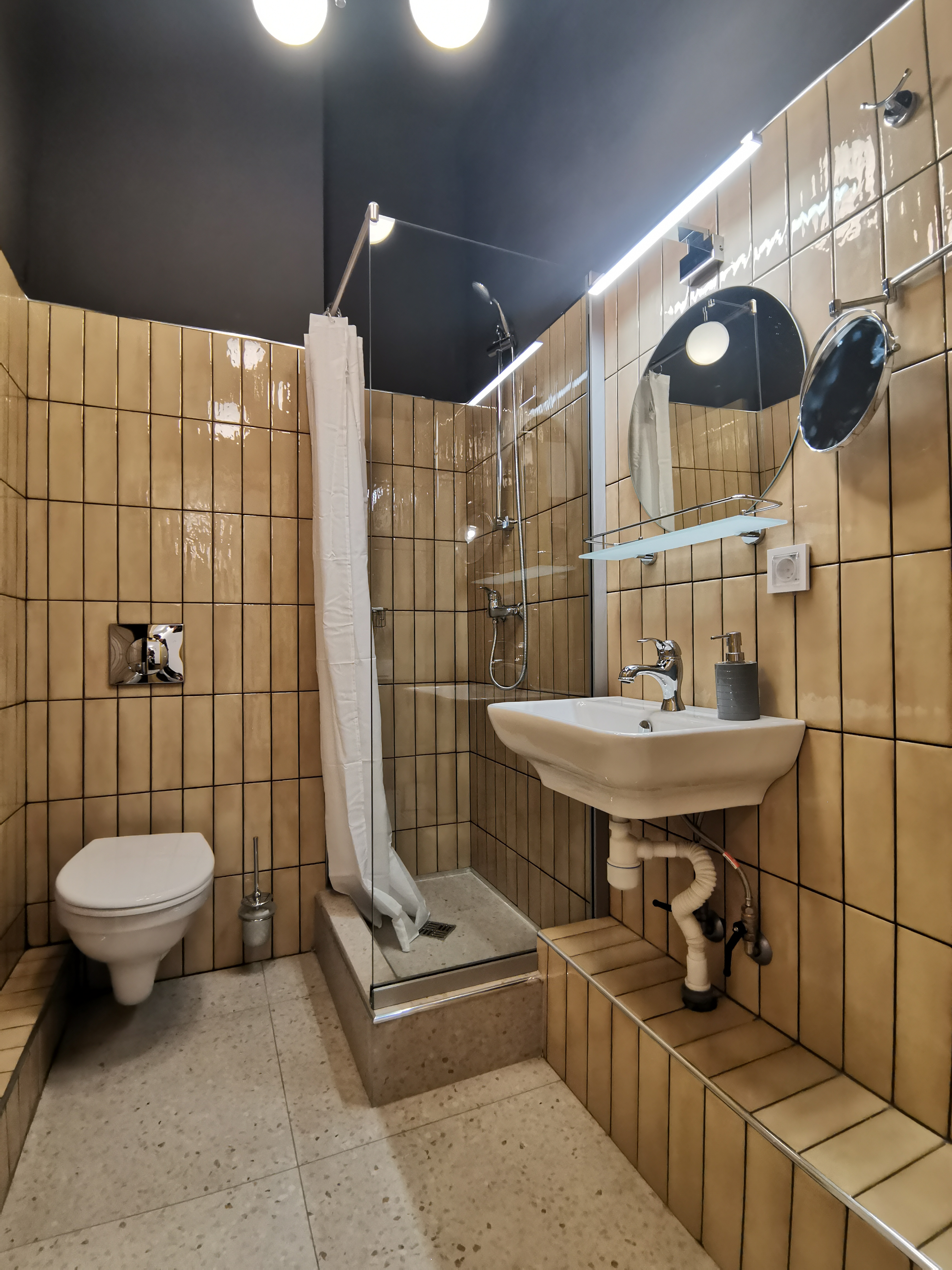 Фото Два гуся