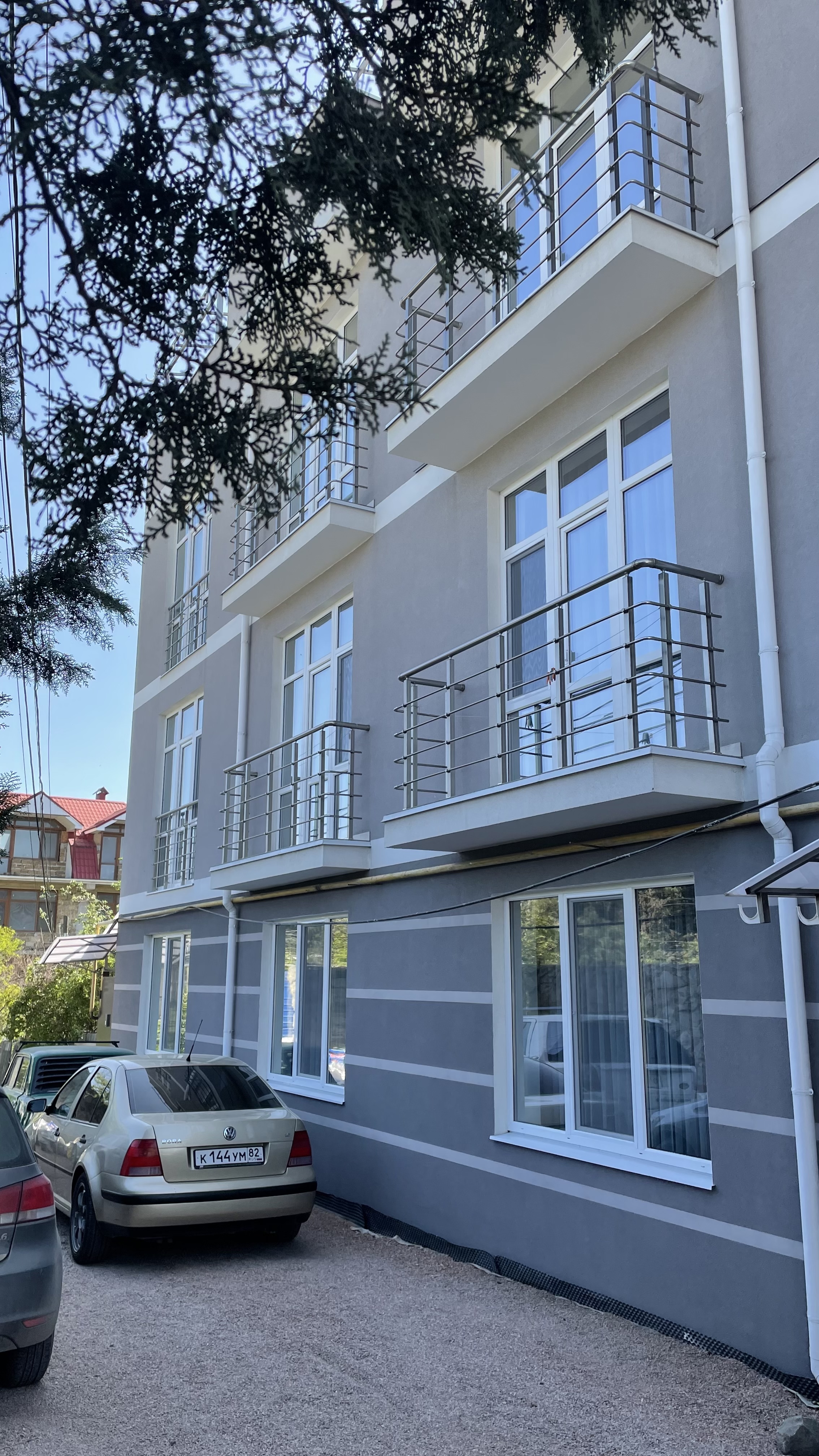 Фото Виноград