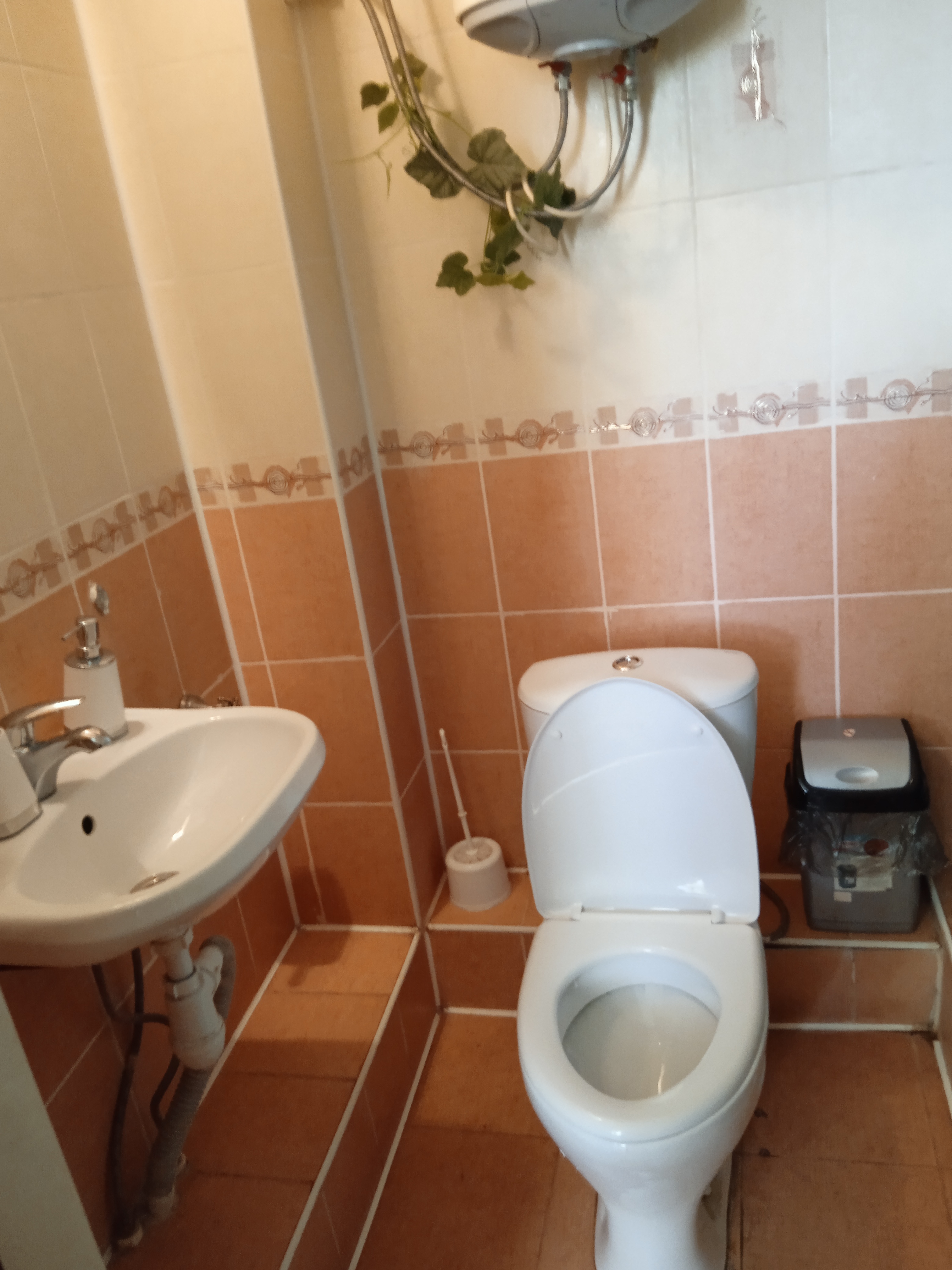 Фото Сафьян