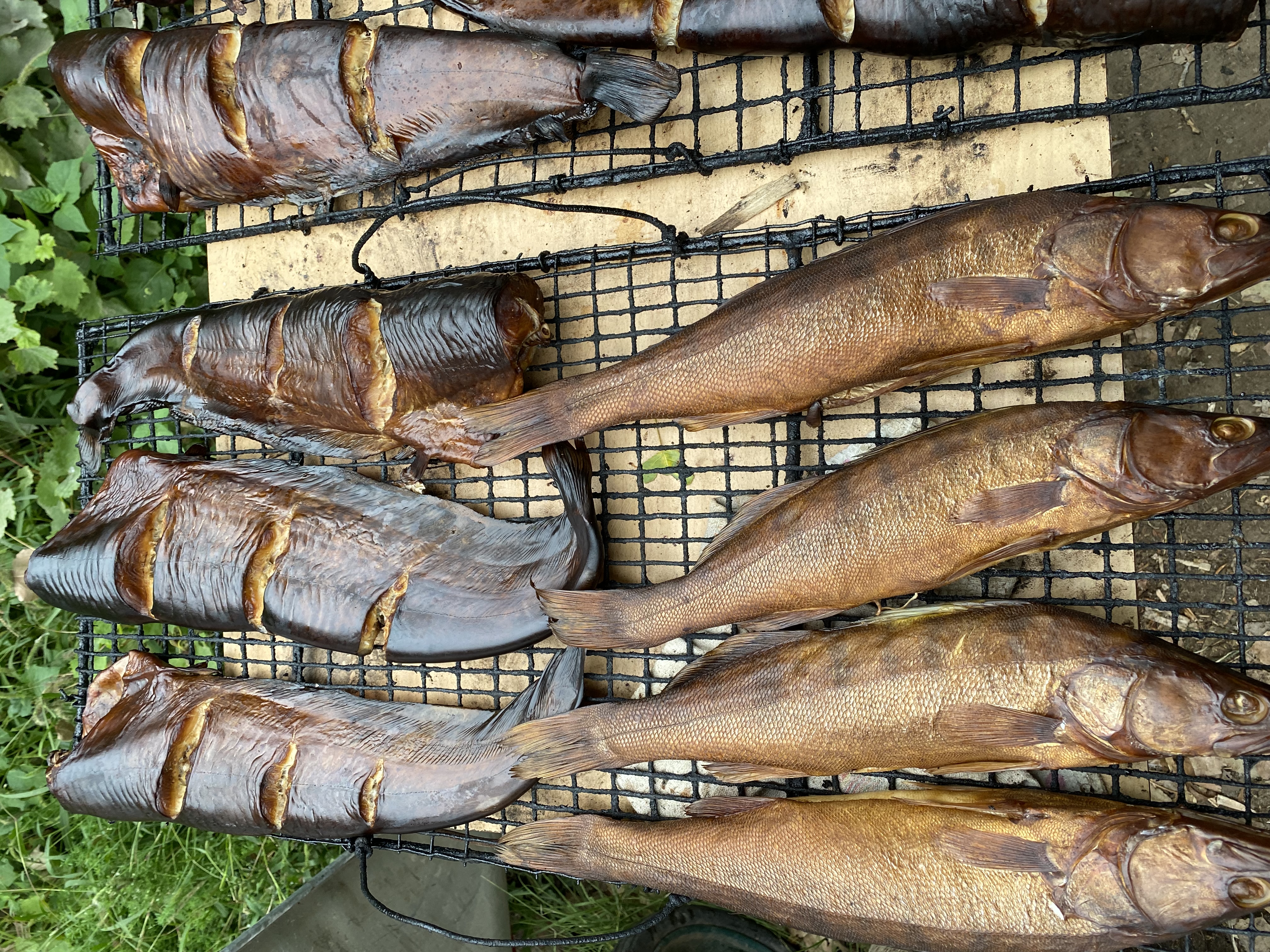 Фото Уваринка