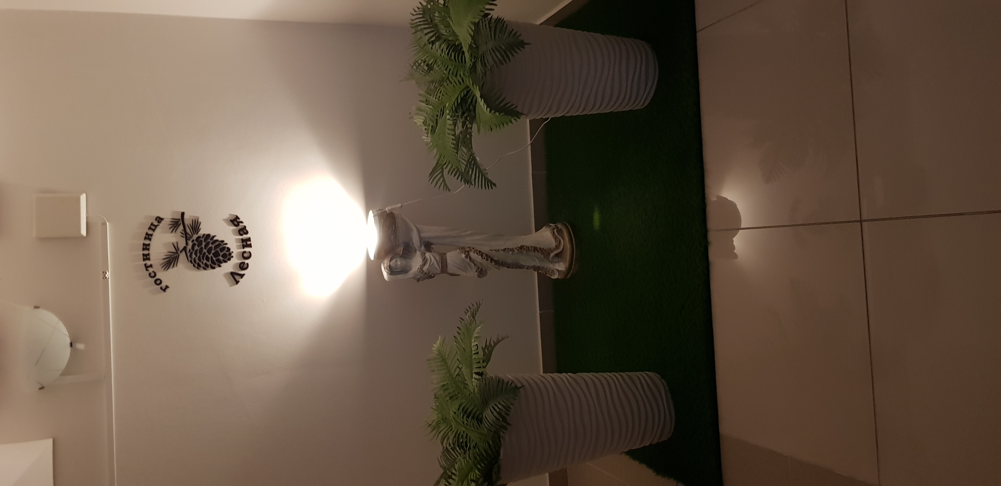 Фото Лесная