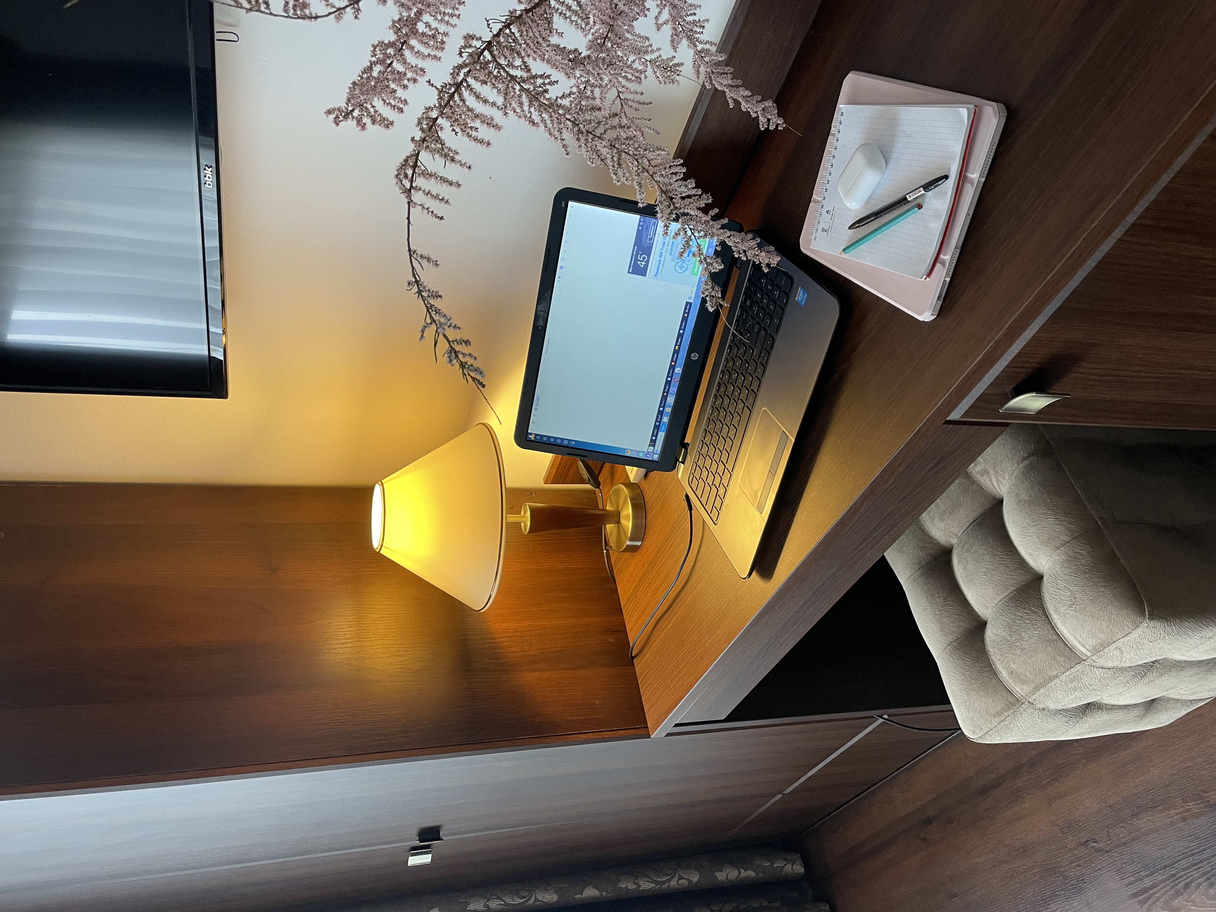 Фото Барракуда