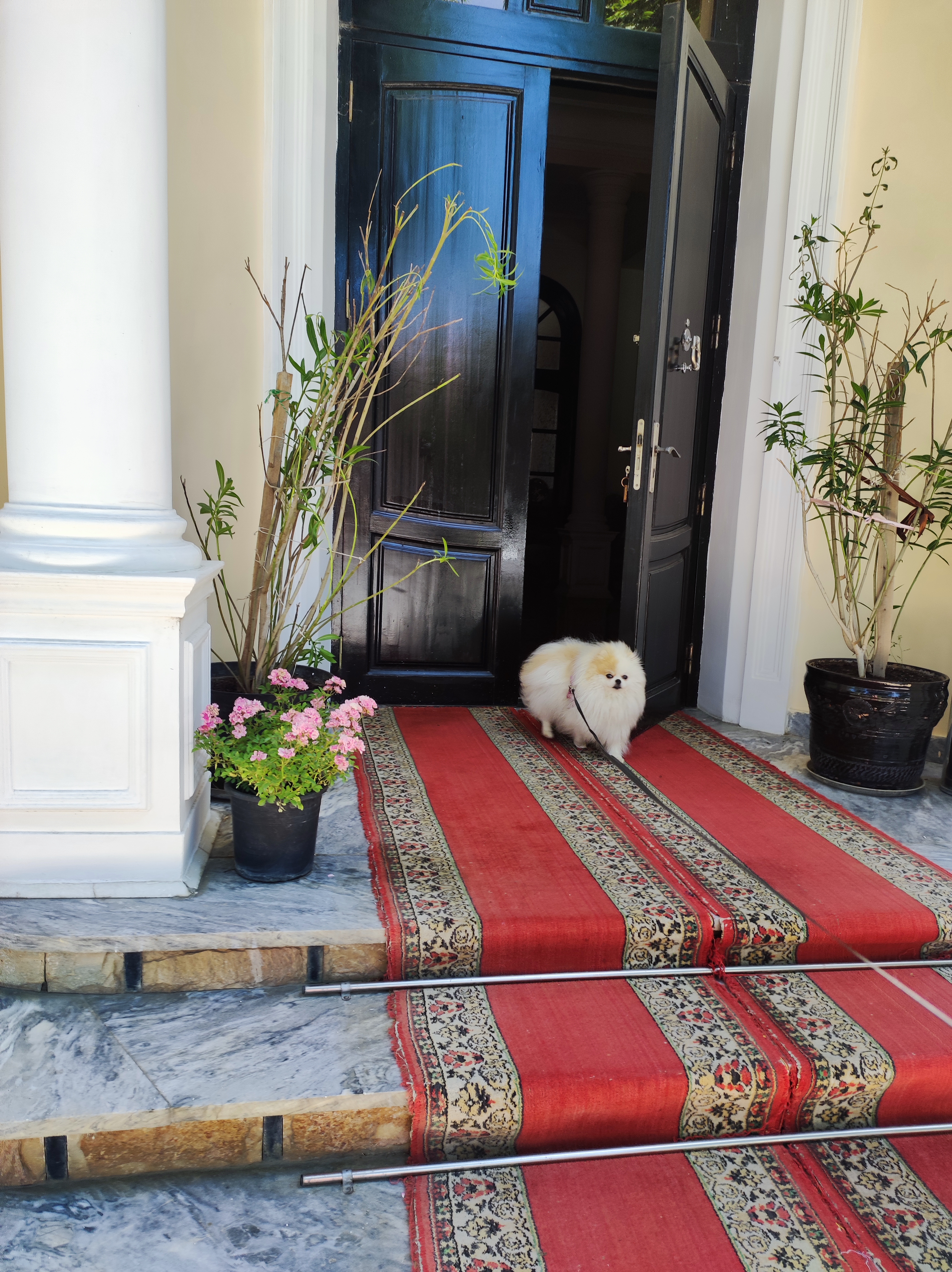 Фото Samarkand Safar