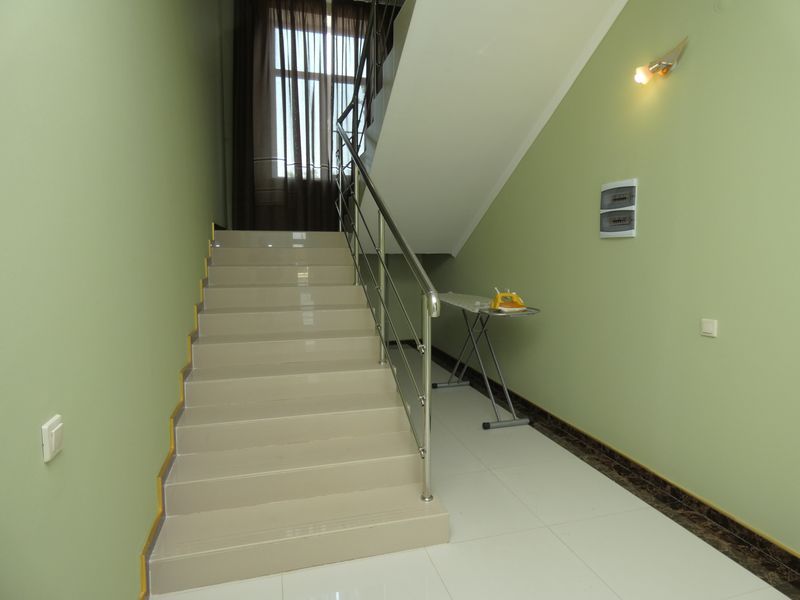 Фото Мангостин