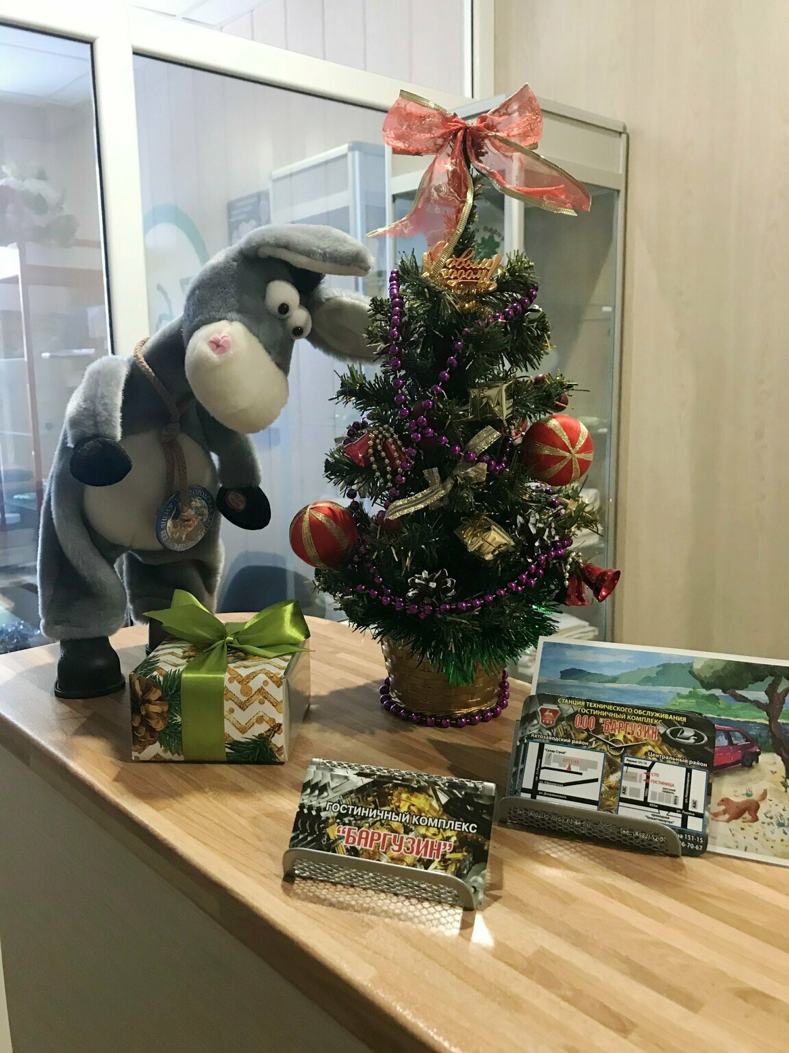 Фото Баргузин