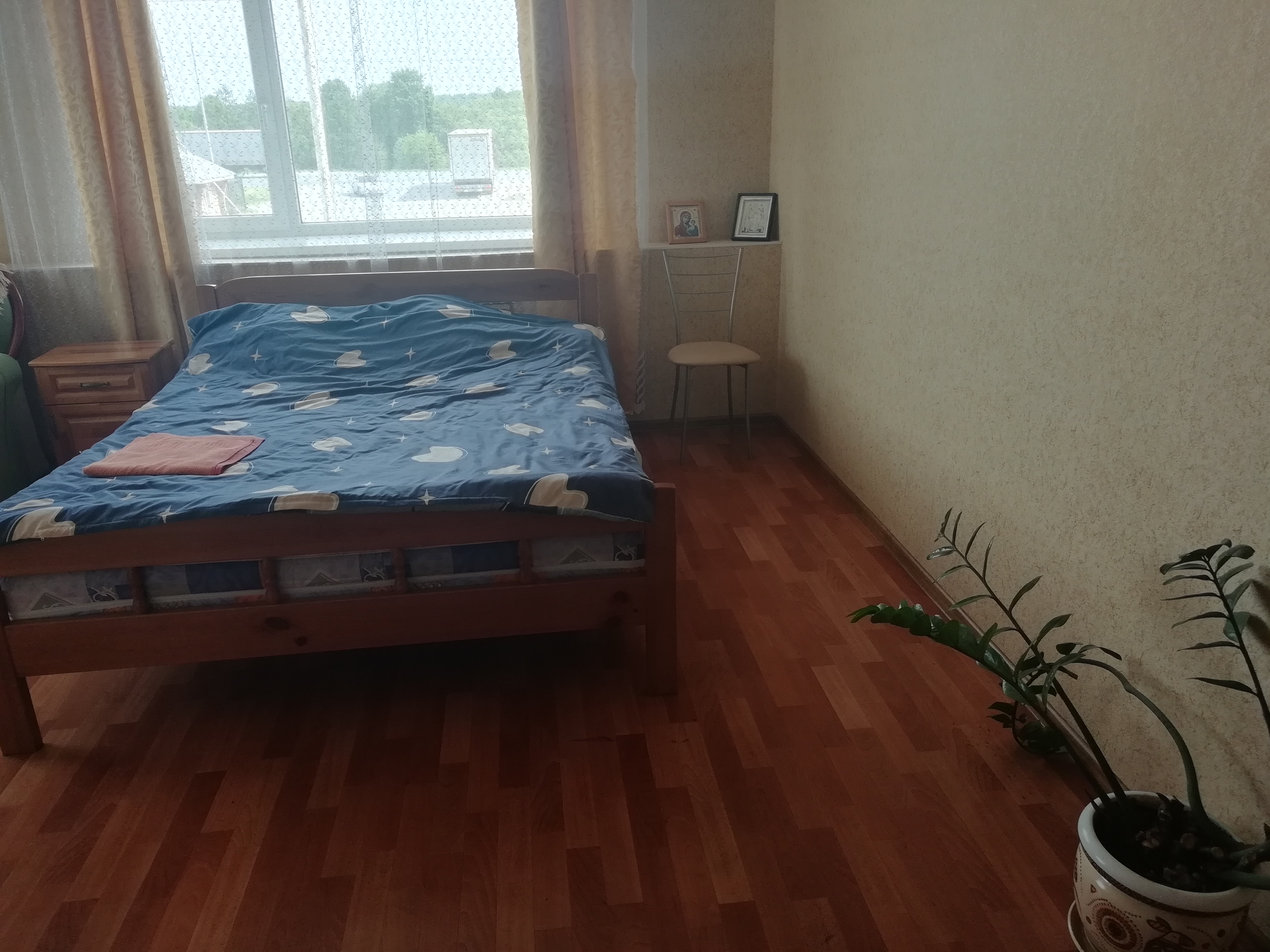 Фото Ромашка