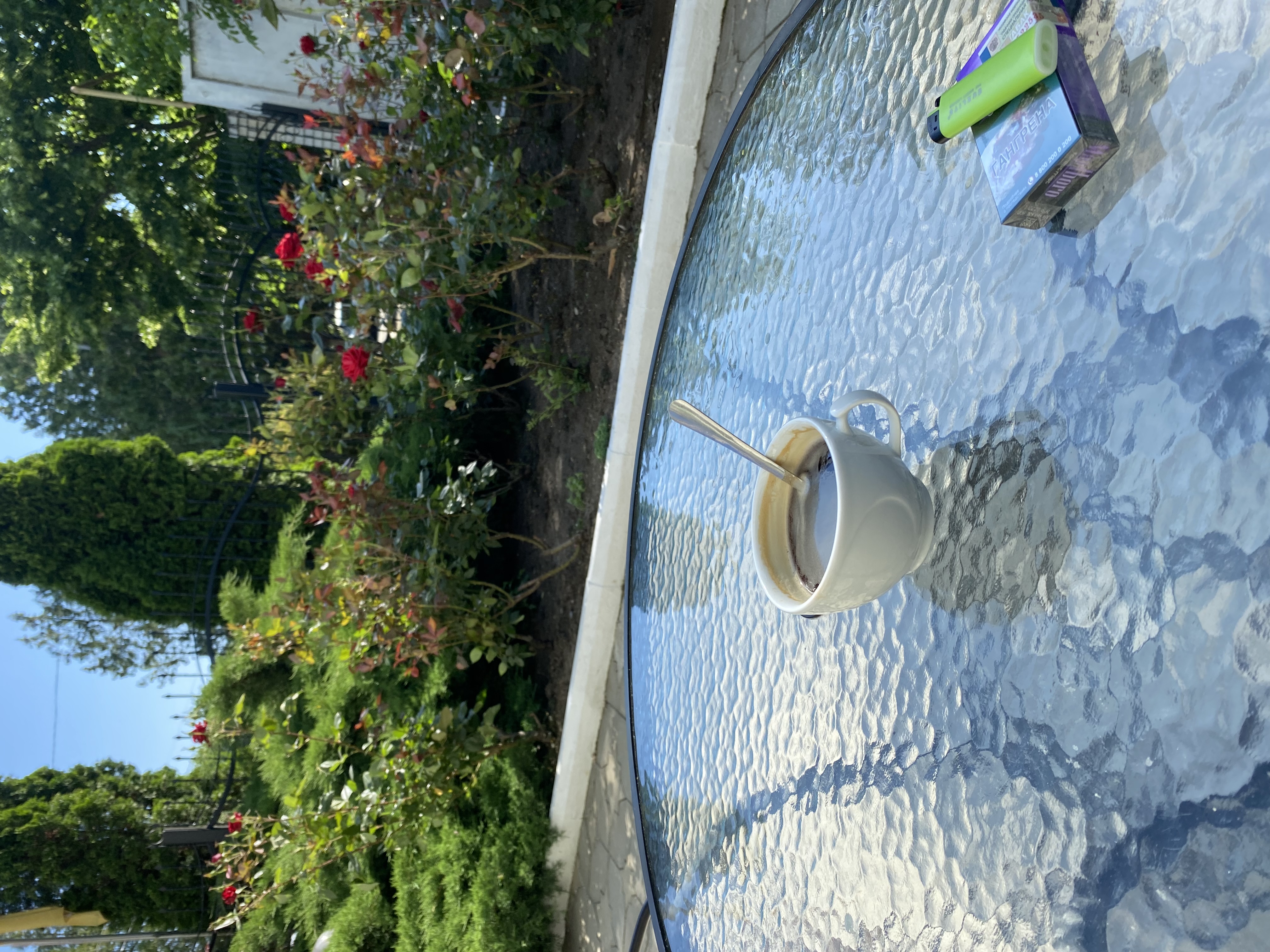 Фото Зелёная