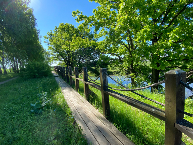 Фото Лапочкино гнездо Дома на деревьях