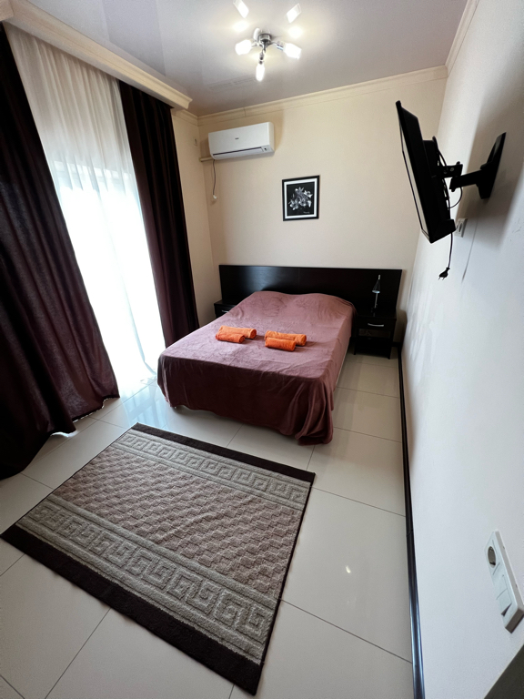 Фото Приветливый