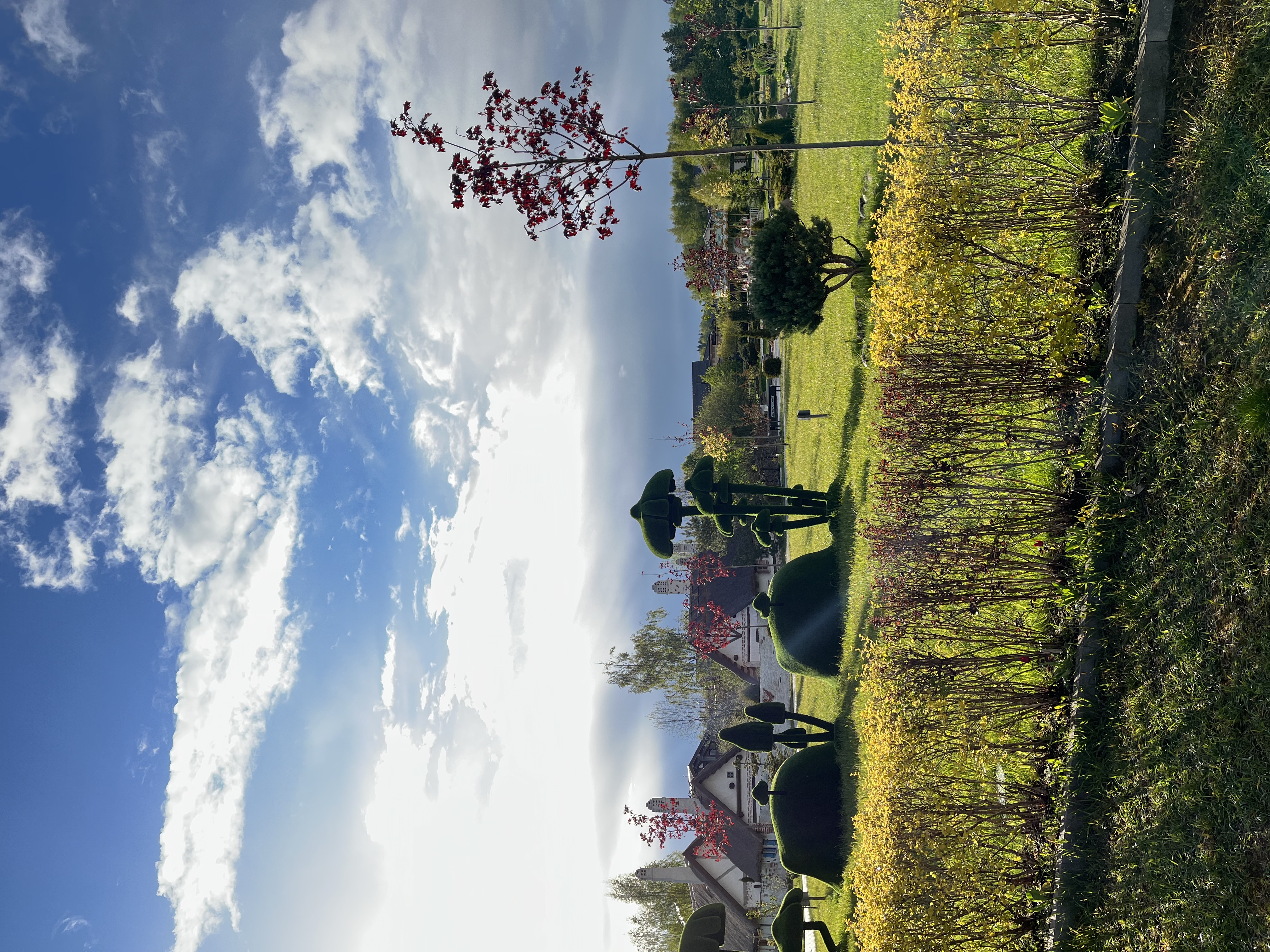 Фото Эко-отель Руза Фэмили парк