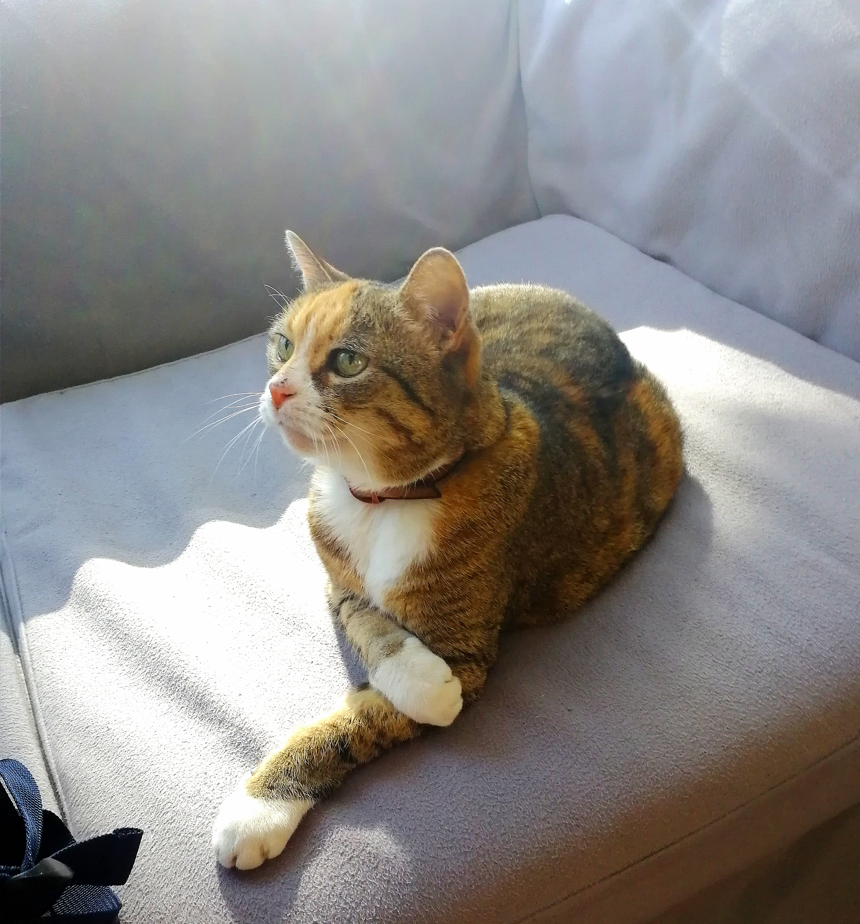 Фото Каркушин Дом