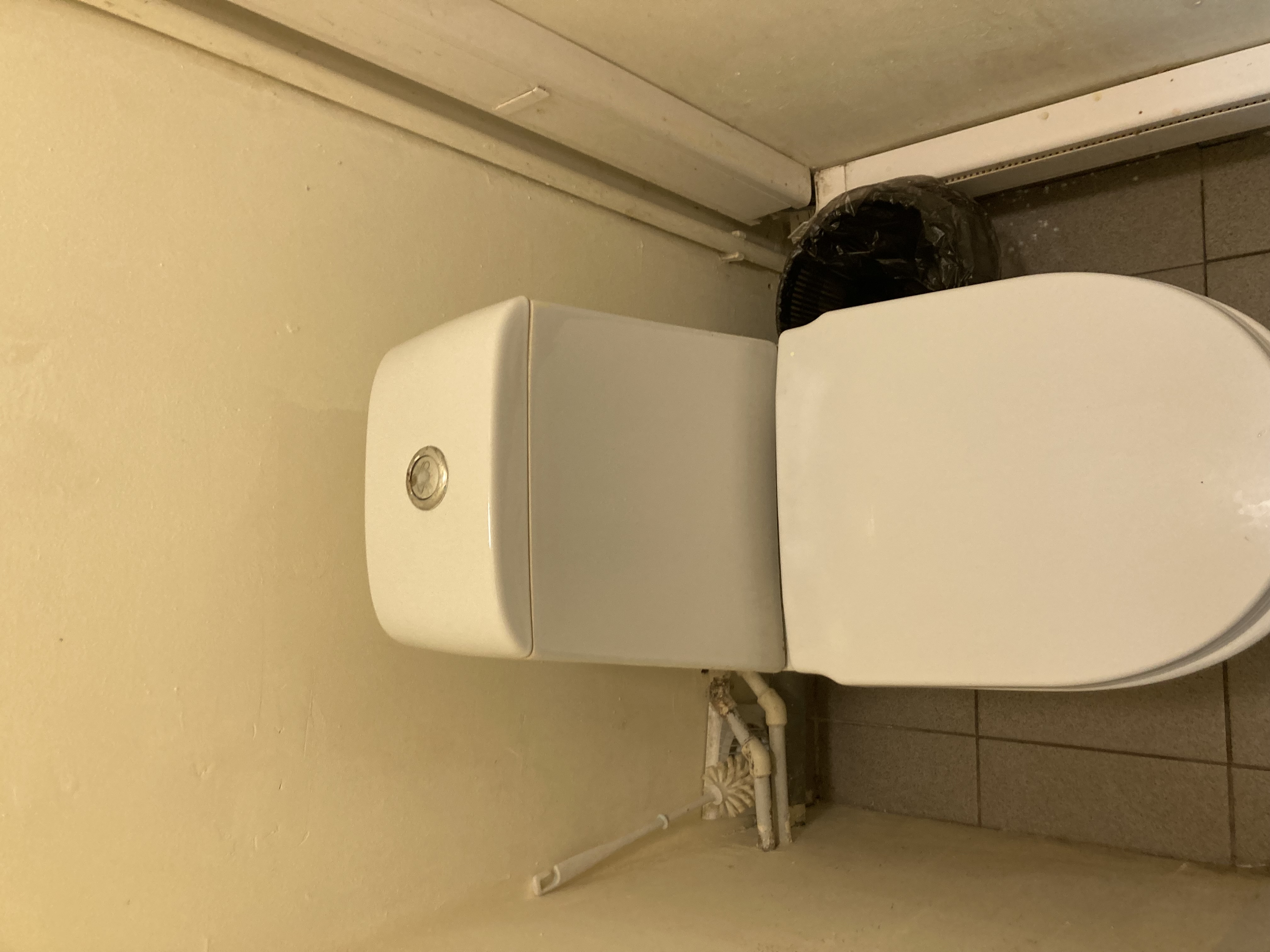 Фото Странник