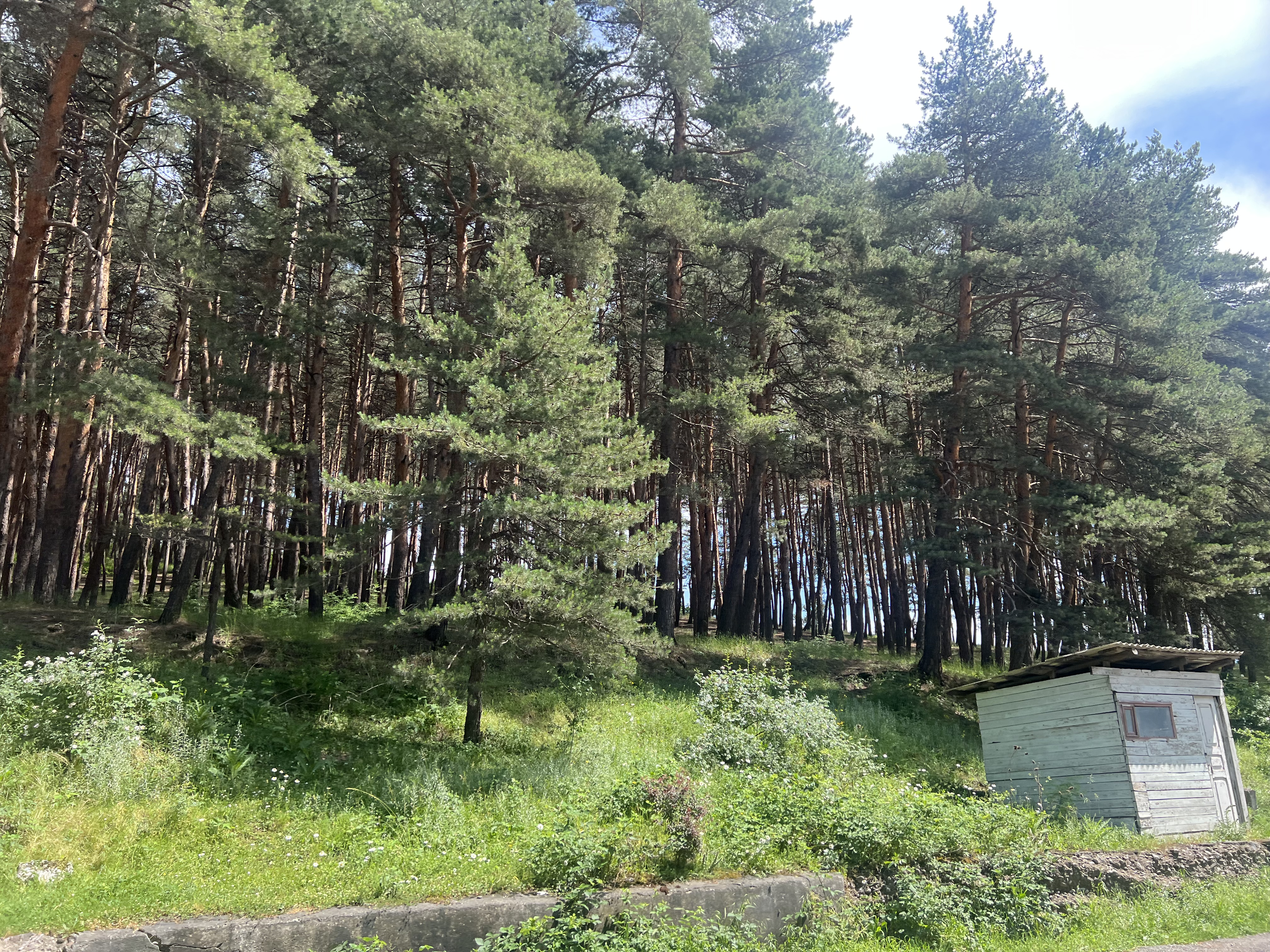 Фото Crowne Plaza Borjomi 